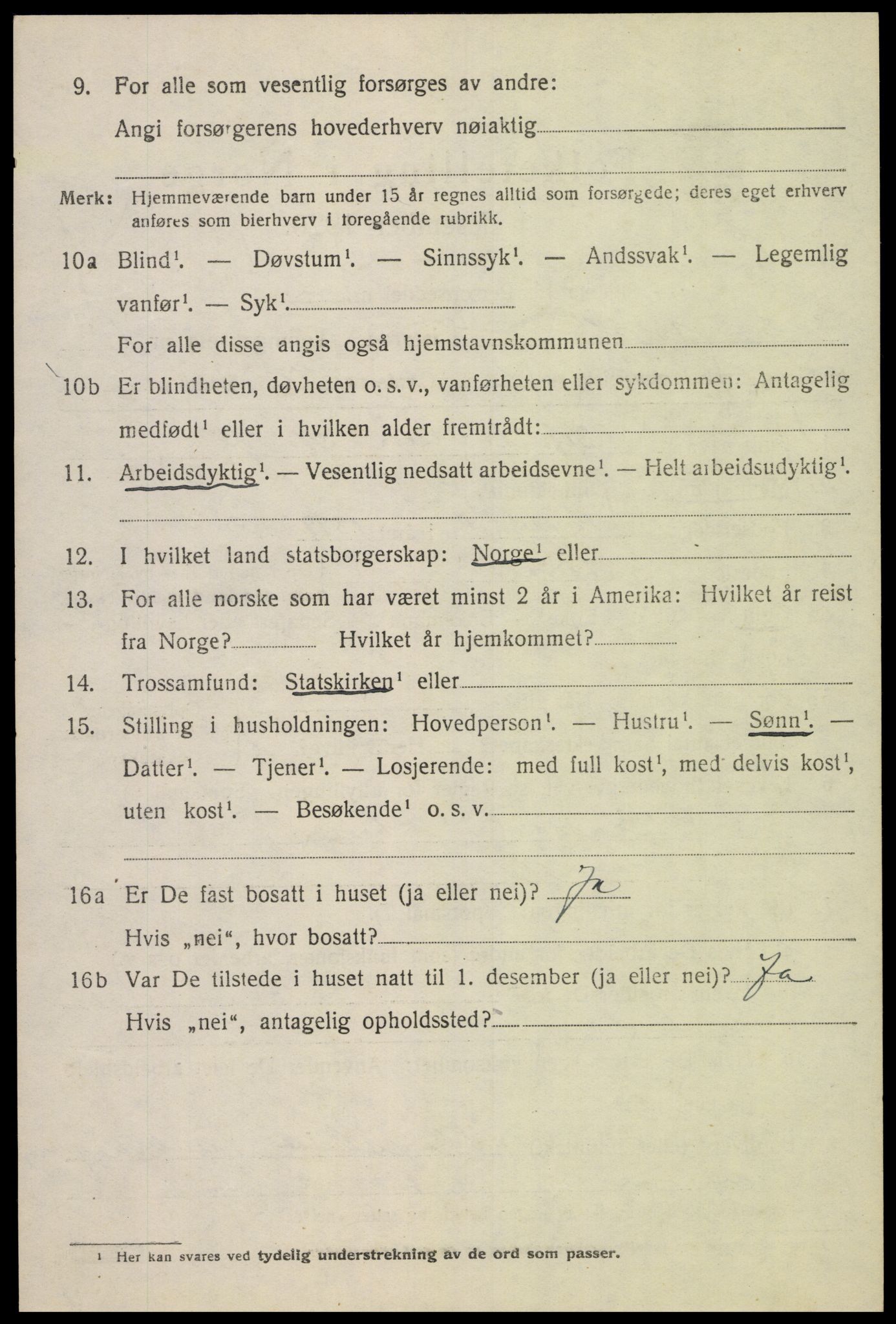 SAK, 1920 census for Åseral, 1920, p. 533