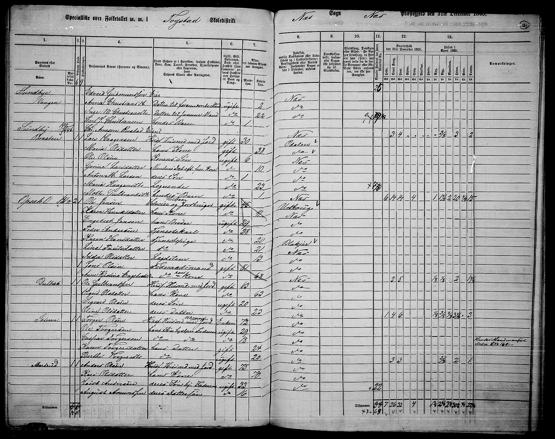 RA, 1865 census for Nes, 1865, p. 166