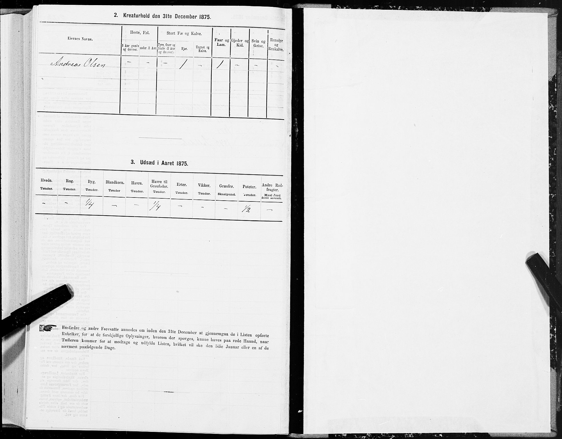 SAT, 1875 census for 1843L Bodø/Bodø, 1875