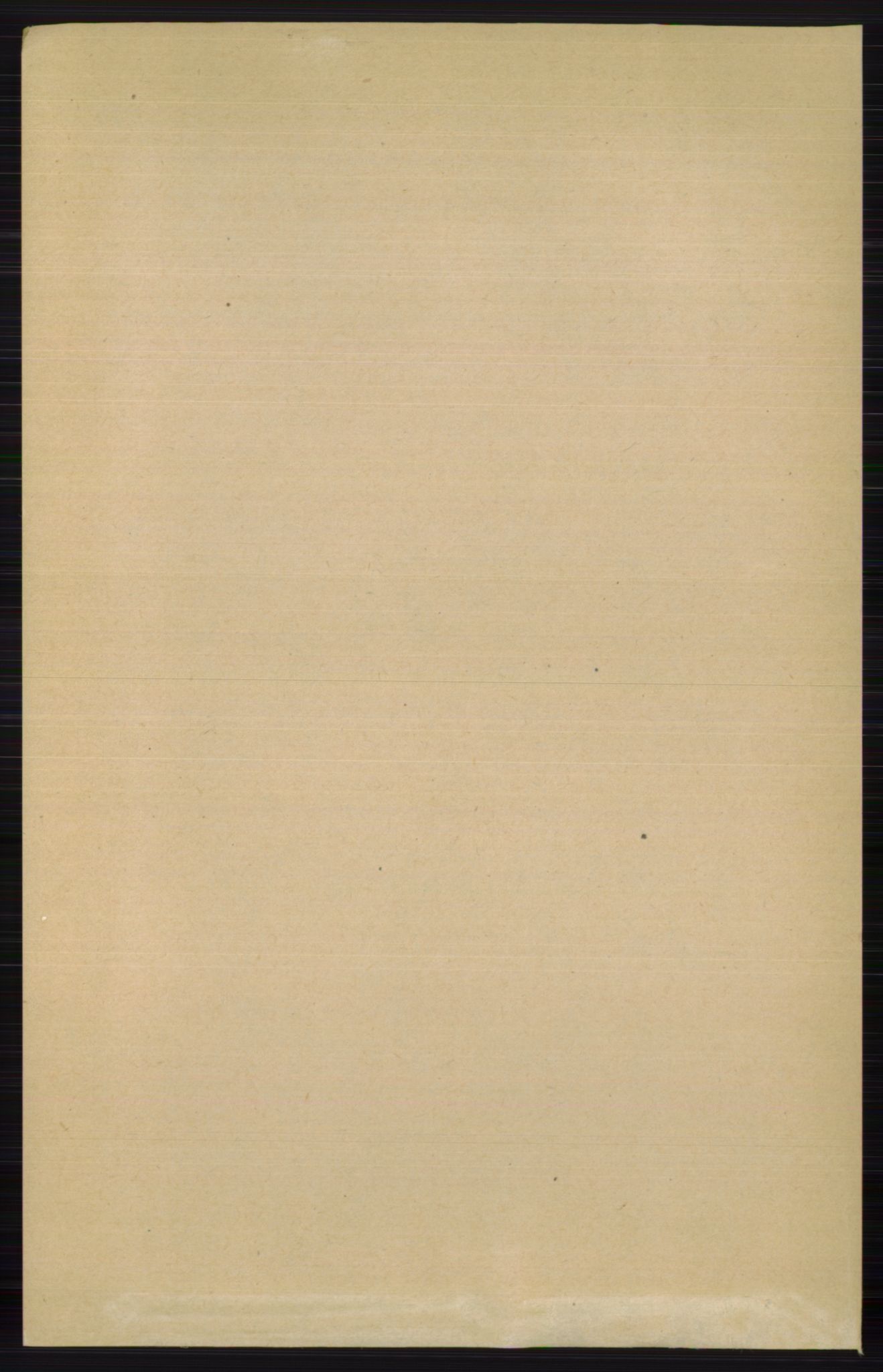 RA, 1891 census for 0543 Vestre Slidre, 1891, p. 2982