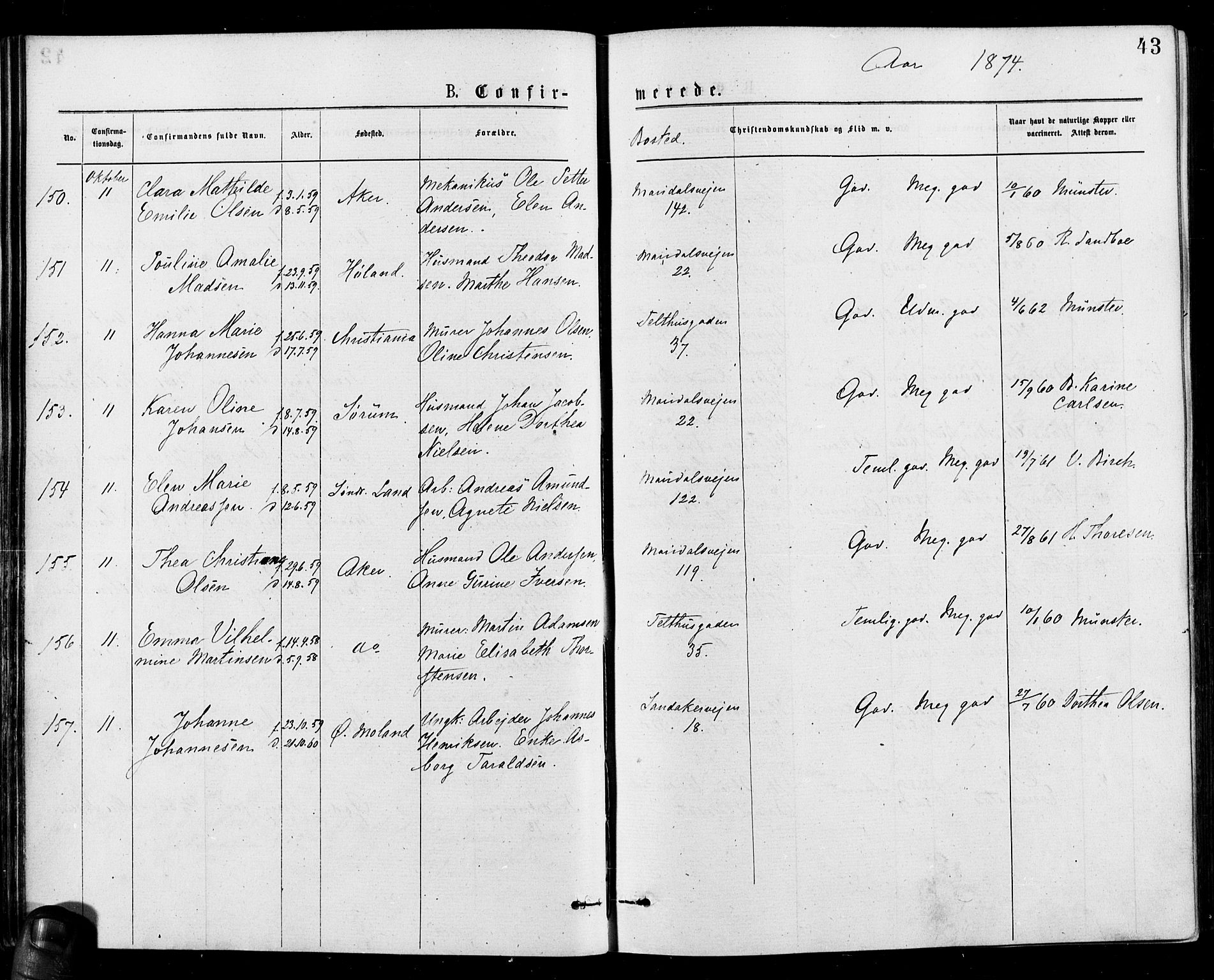 Gamle Aker prestekontor Kirkebøker, AV/SAO-A-10617a/F/L0005: Parish register (official) no. 5, 1873-1881, p. 43