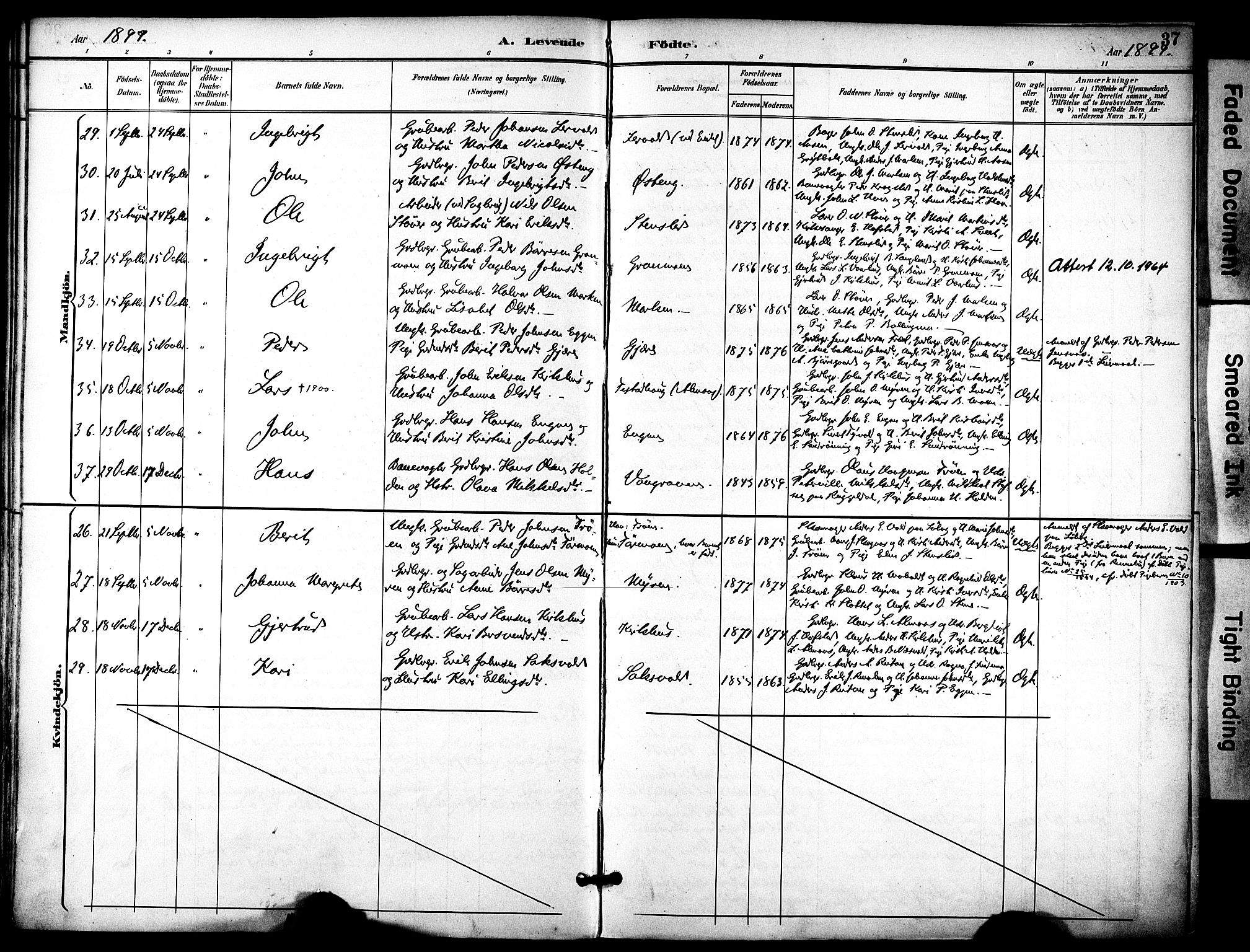 Ministerialprotokoller, klokkerbøker og fødselsregistre - Sør-Trøndelag, AV/SAT-A-1456/686/L0984: Parish register (official) no. 686A02, 1891-1906, p. 37