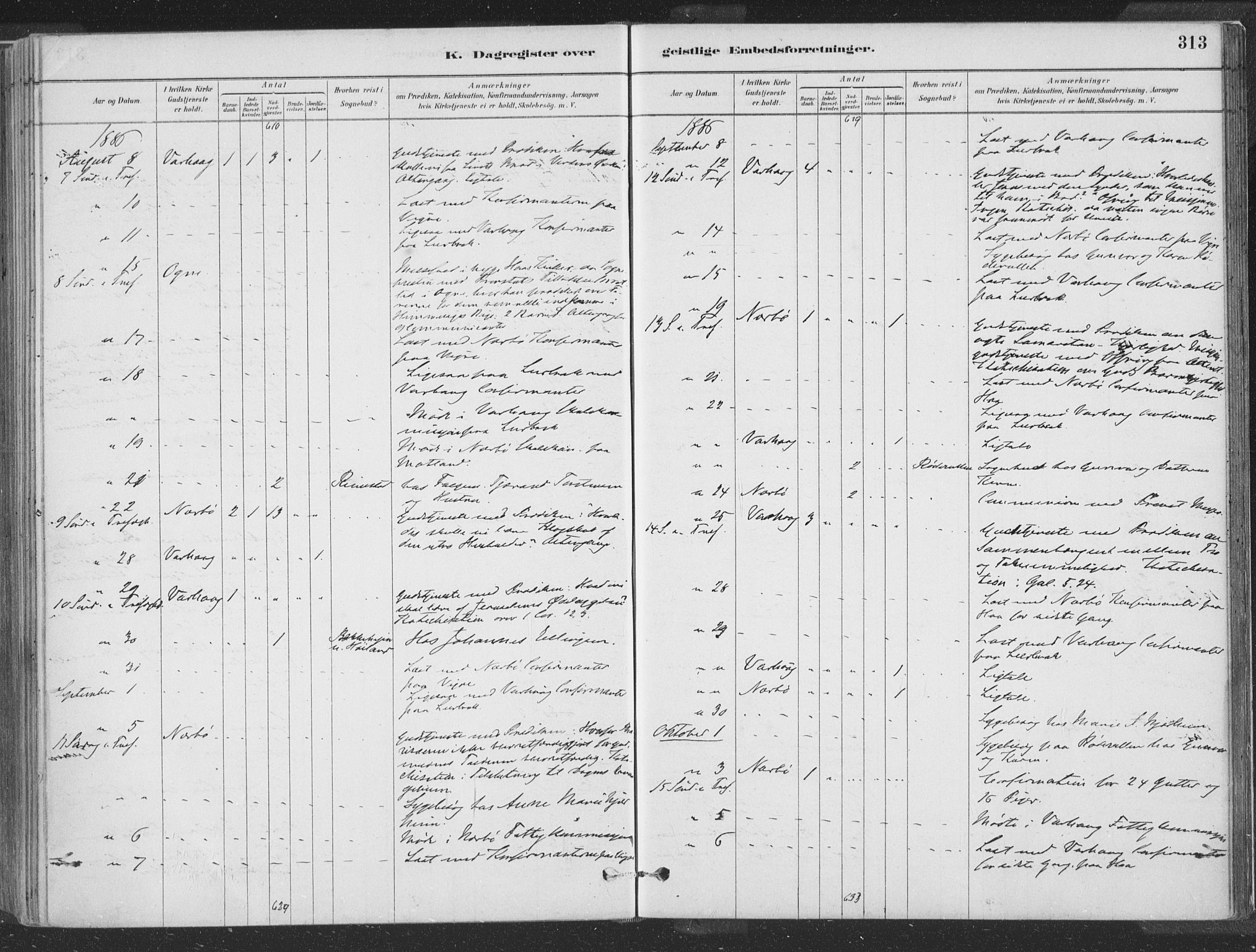 Hå sokneprestkontor, AV/SAST-A-101801/001/30BA/L0010: Parish register (official) no. A 9, 1879-1896, p. 313