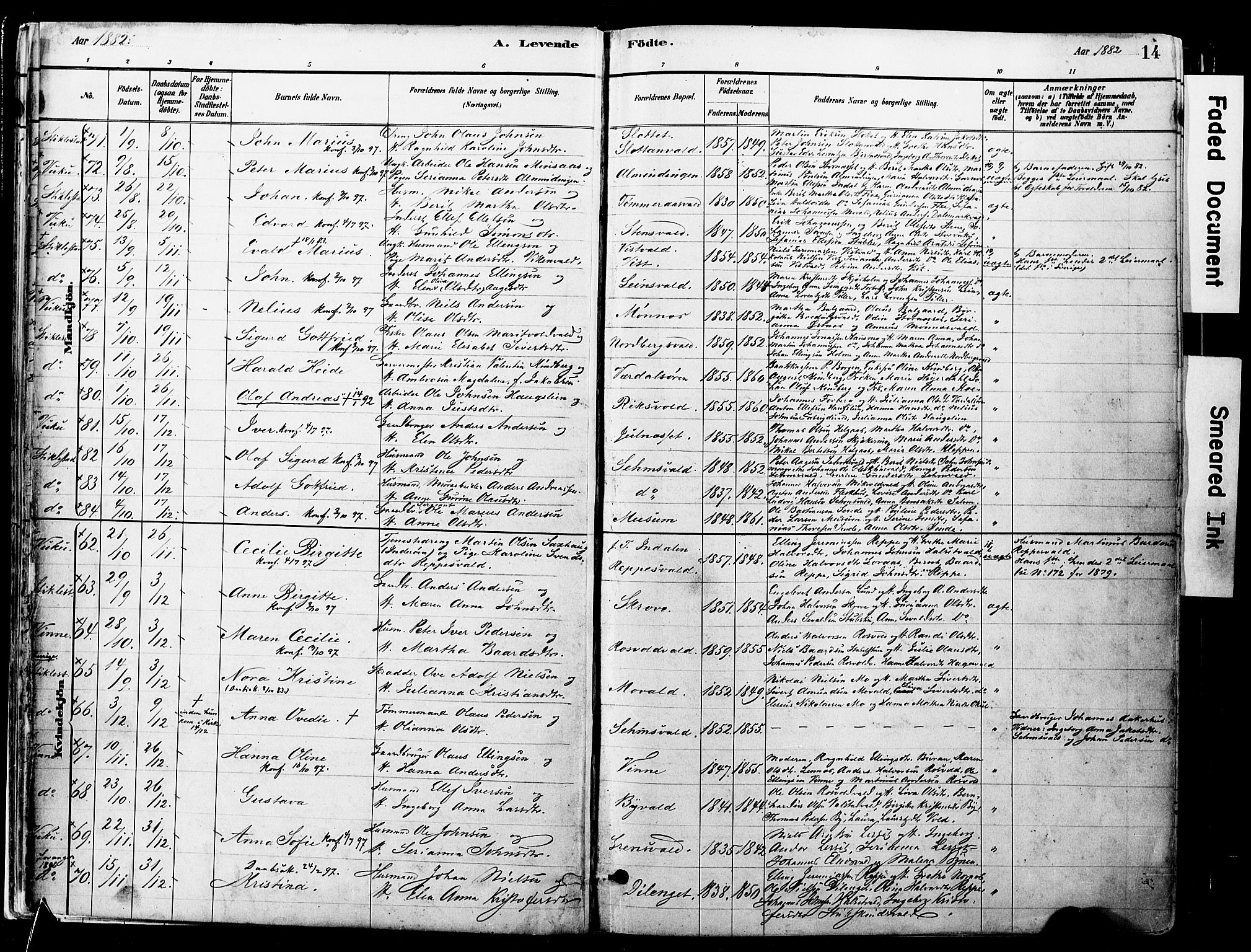 Ministerialprotokoller, klokkerbøker og fødselsregistre - Nord-Trøndelag, SAT/A-1458/723/L0244: Parish register (official) no. 723A13, 1881-1899, p. 14