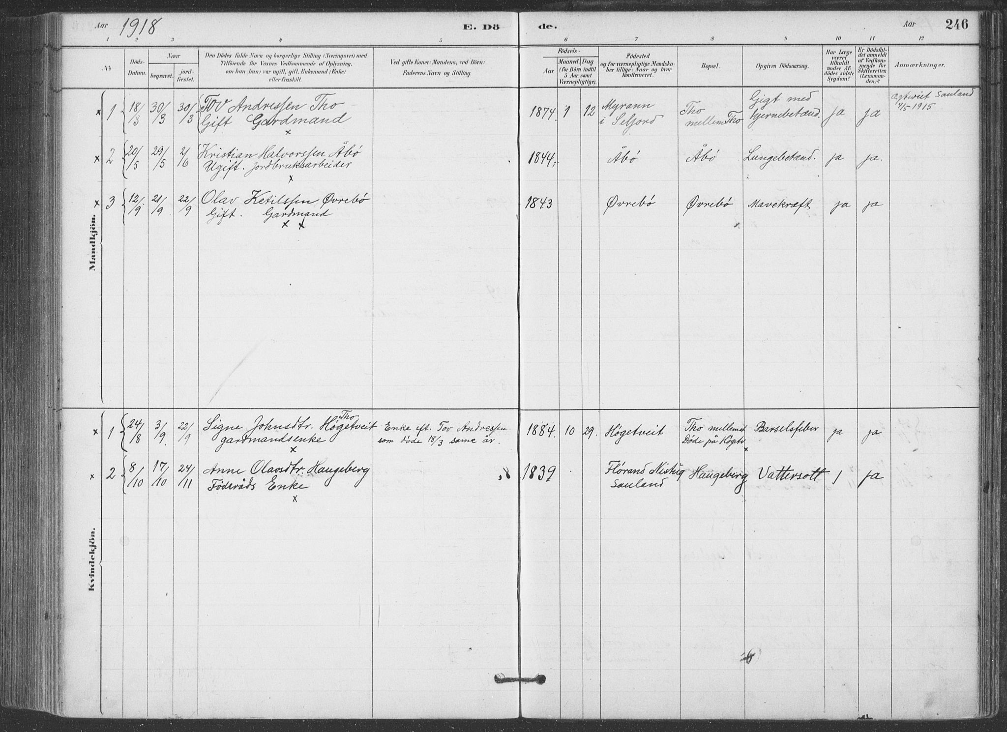 Hjartdal kirkebøker, SAKO/A-270/F/Fa/L0010: Parish register (official) no. I 10, 1880-1929, p. 246