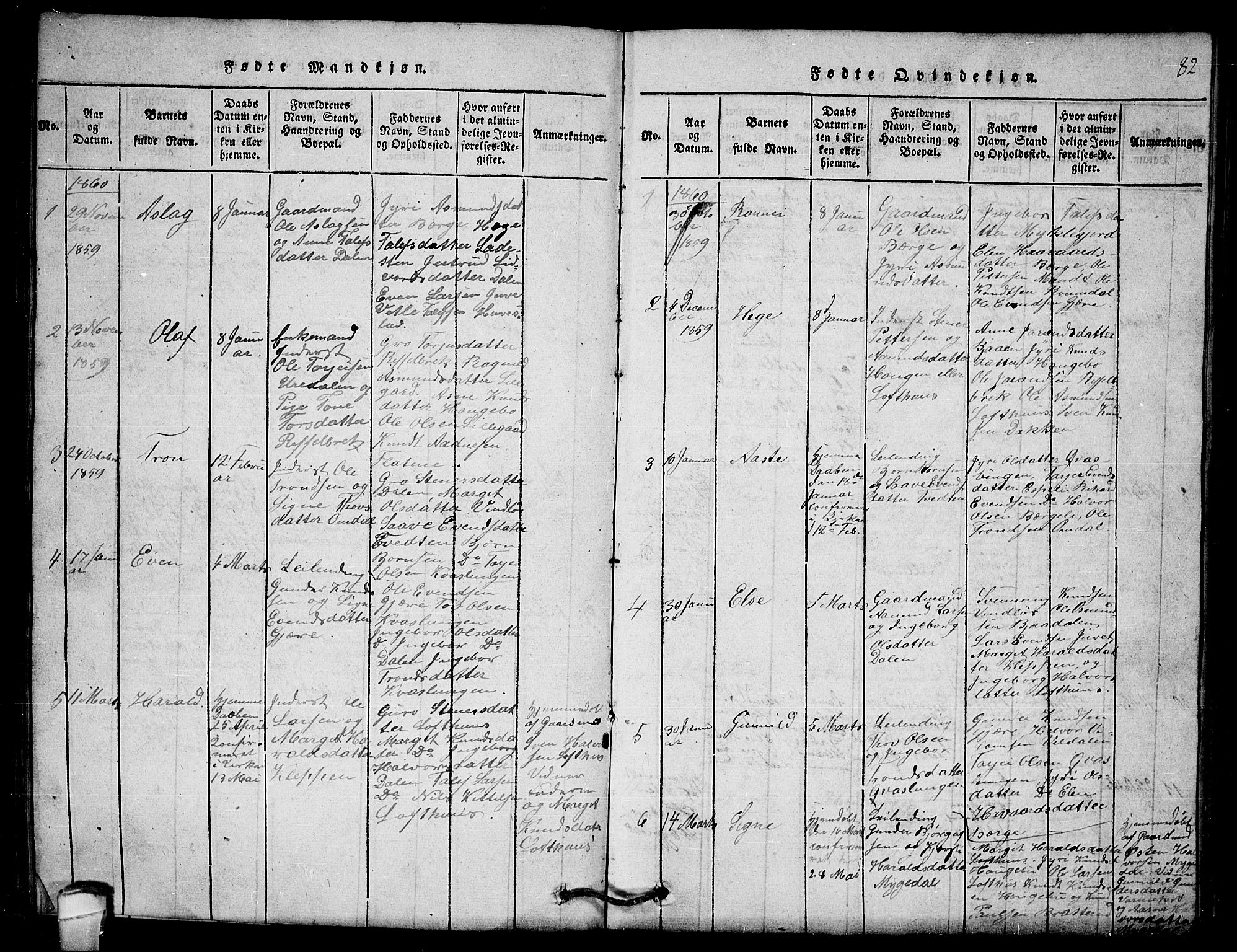 Lårdal kirkebøker, SAKO/A-284/G/Gb/L0001: Parish register (copy) no. II 1, 1815-1865, p. 82