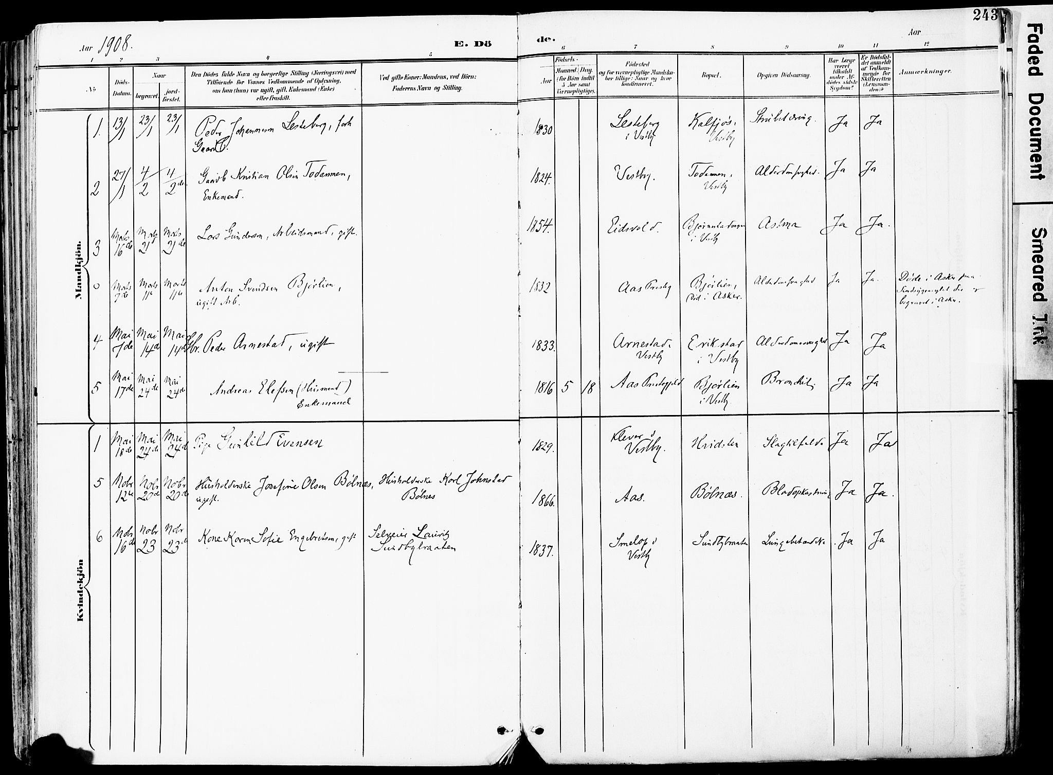 Vestby prestekontor Kirkebøker, SAO/A-10893/F/Fa/L0010: Parish register (official) no. I 10, 1900-1926, p. 243