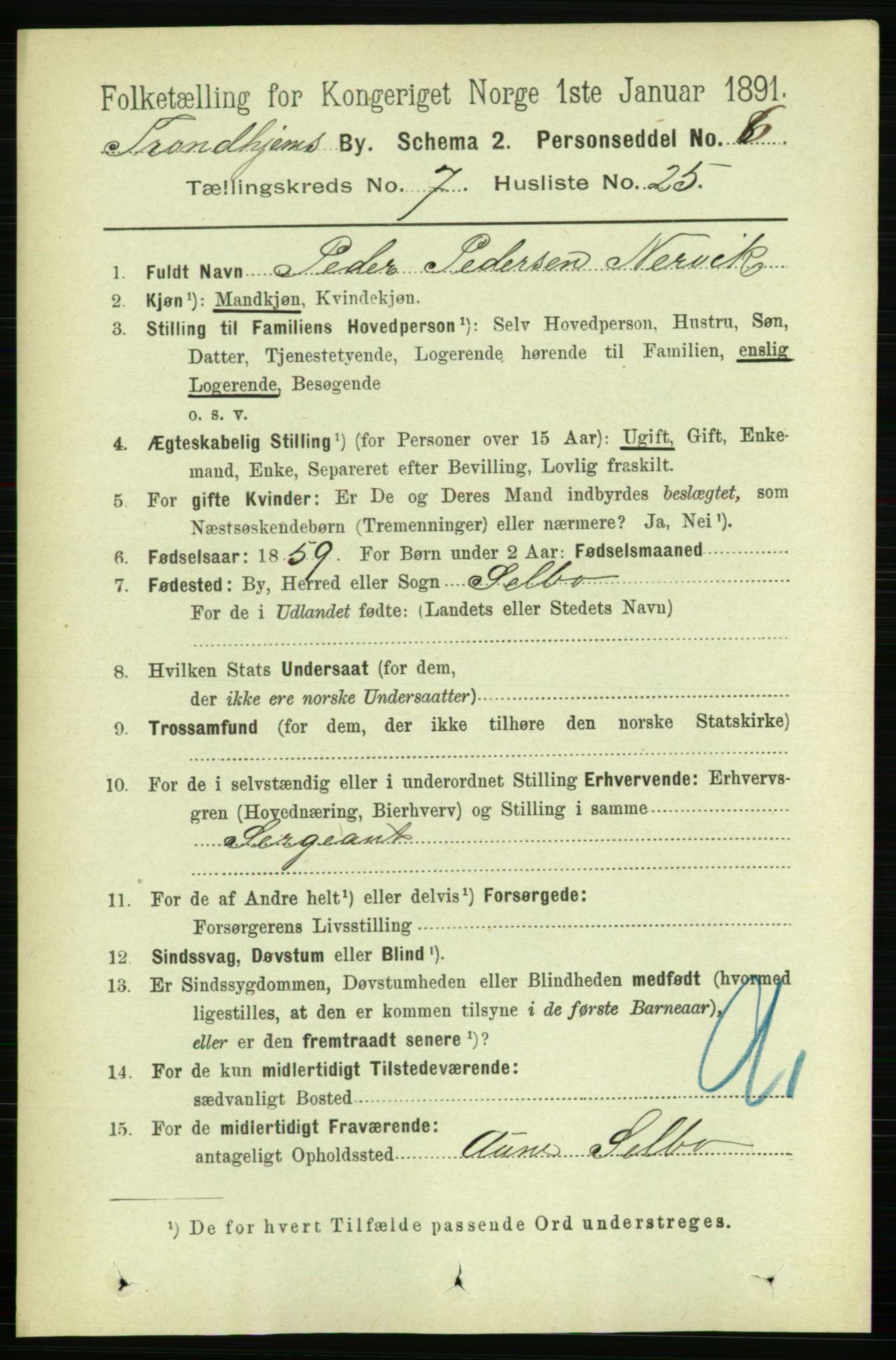 RA, 1891 census for 1601 Trondheim, 1891, p. 6252