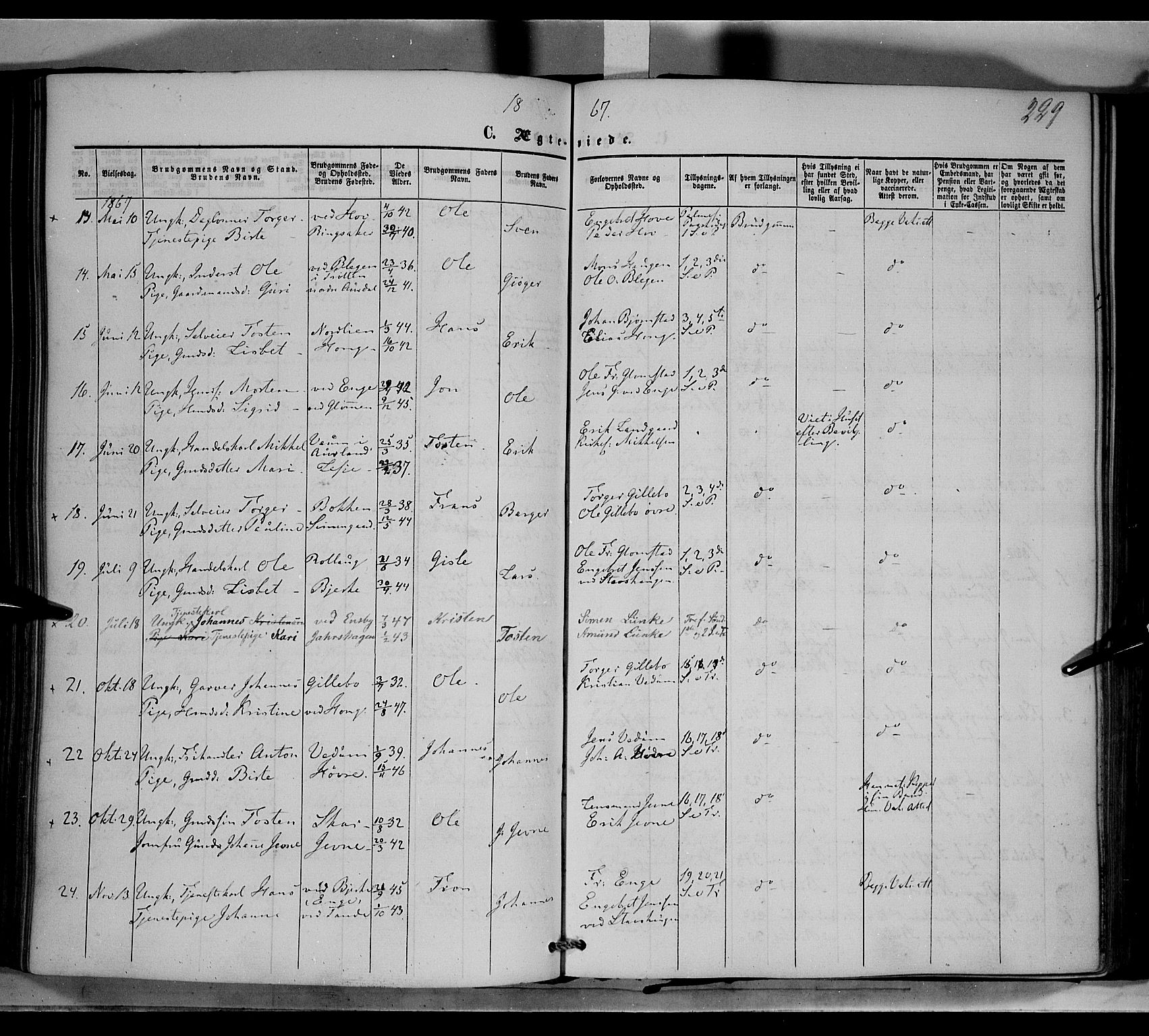 Øyer prestekontor, SAH/PREST-084/H/Ha/Haa/L0006: Parish register (official) no. 6, 1858-1874, p. 229