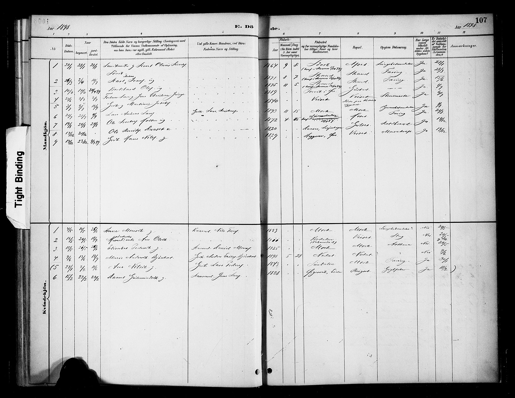 Ministerialprotokoller, klokkerbøker og fødselsregistre - Møre og Romsdal, SAT/A-1454/568/L0809: Parish register (official) no. 568A13, 1884-1900, p. 107