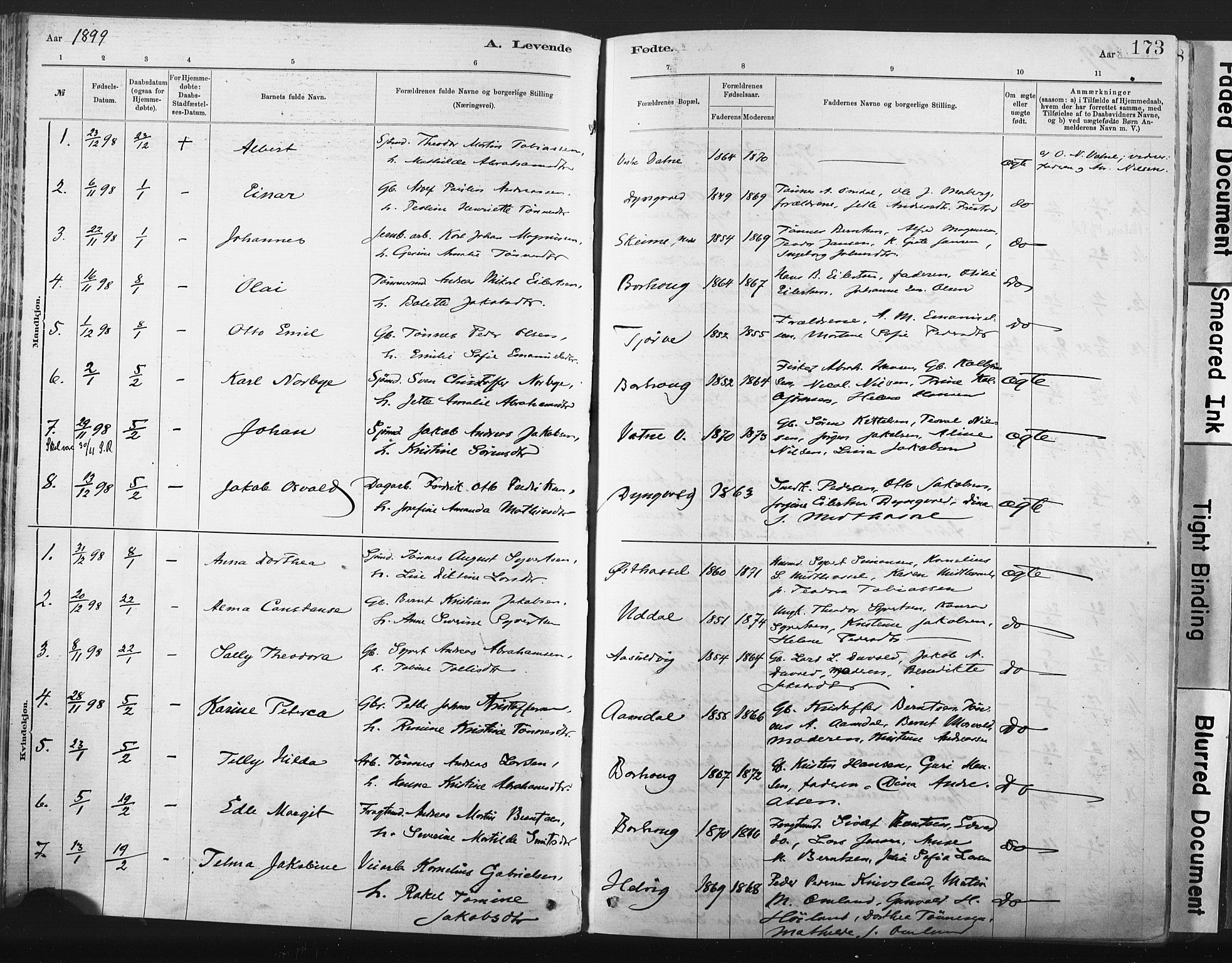 Lista sokneprestkontor, SAK/1111-0027/F/Fa/L0012: Parish register (official) no. A 12, 1879-1903, p. 173