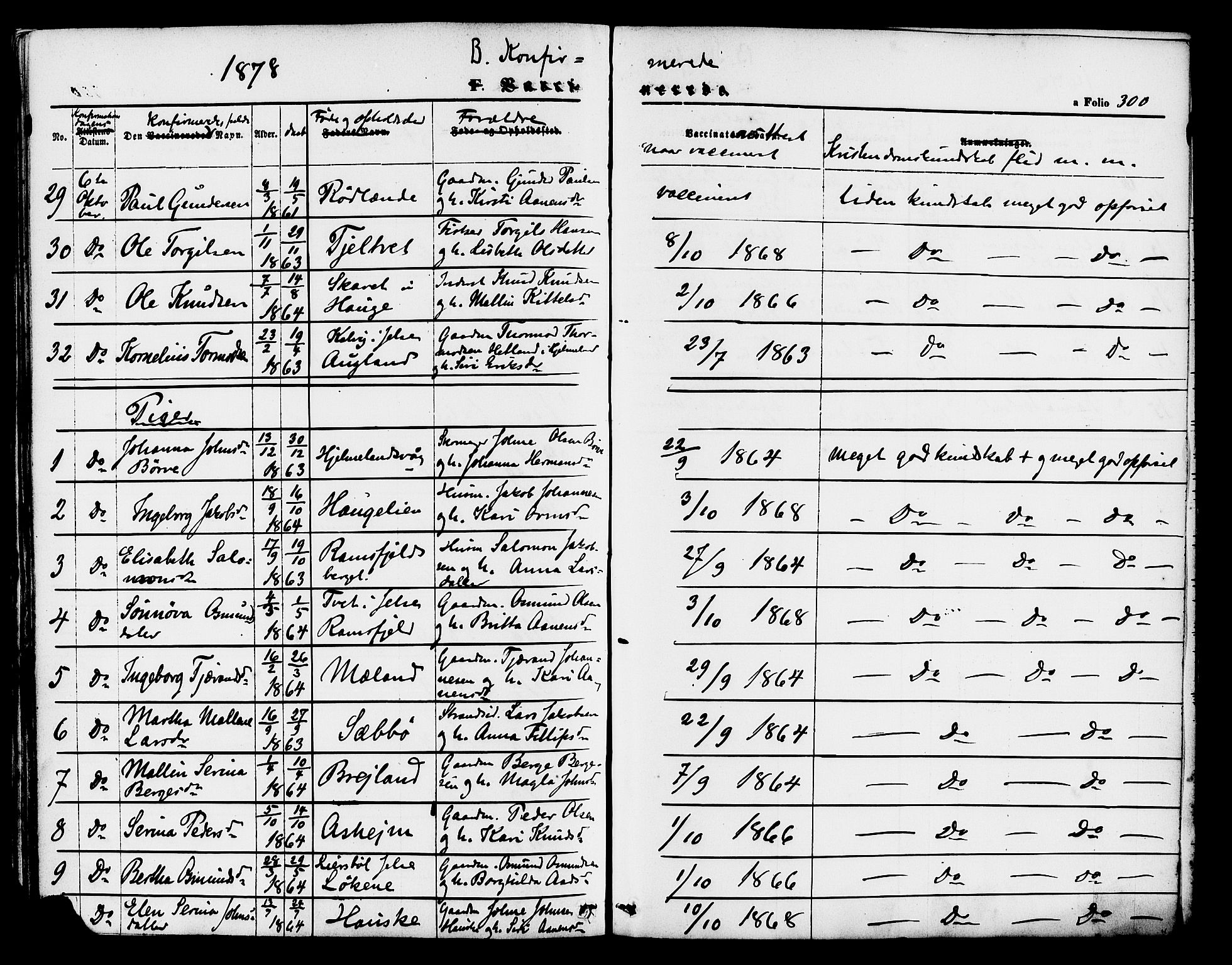 Hjelmeland sokneprestkontor, SAST/A-101843/01/IV/L0011: Parish register (official) no. A 11, 1861-1878, p. 300