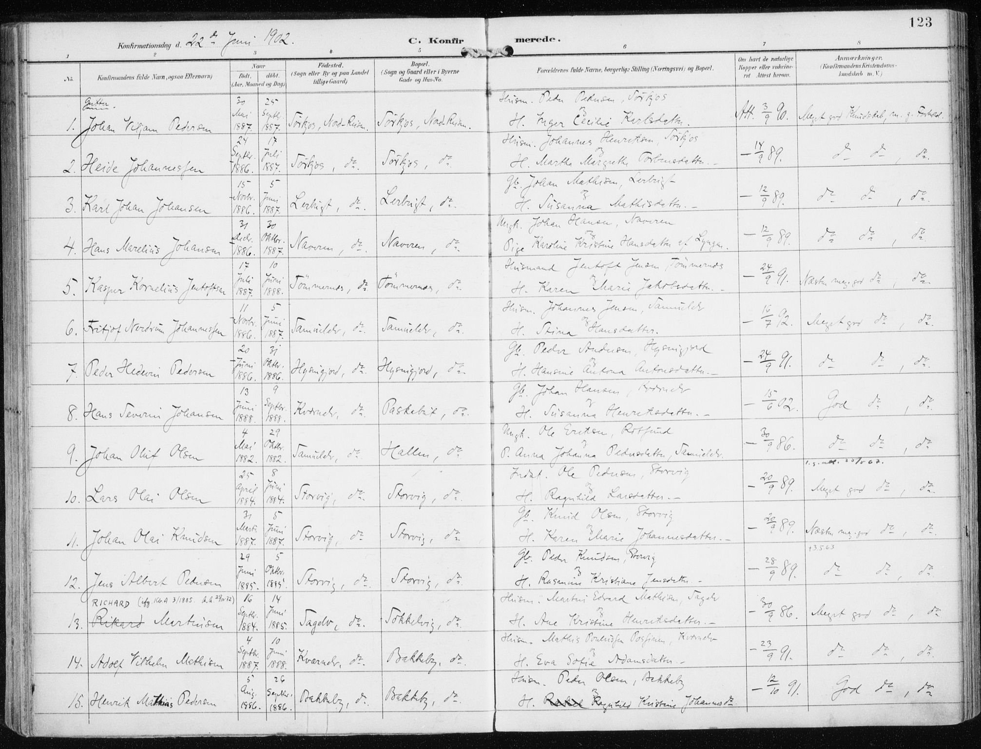 Skjervøy sokneprestkontor, AV/SATØ-S-1300/H/Ha/Haa/L0017kirke: Parish register (official) no. 17, 1895-1911, p. 123