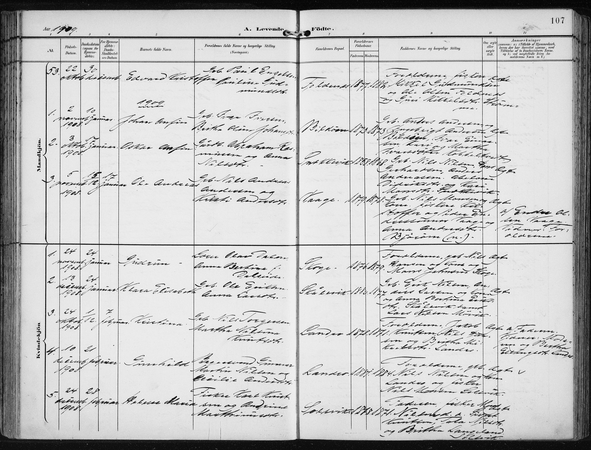 Fjell sokneprestembete, SAB/A-75301/H/Haa: Parish register (official) no. A  9, 1899-1910, p. 107