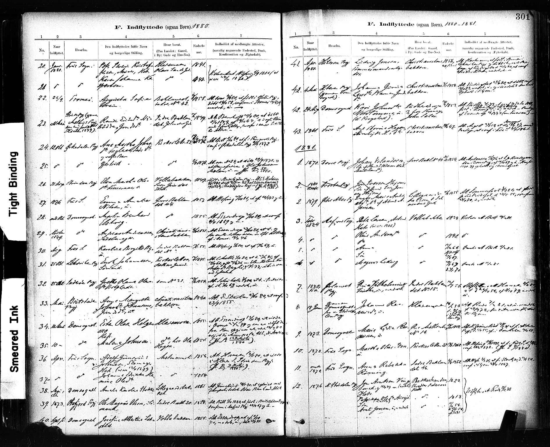 Ministerialprotokoller, klokkerbøker og fødselsregistre - Sør-Trøndelag, SAT/A-1456/604/L0189: Parish register (official) no. 604A10, 1878-1892, p. 301