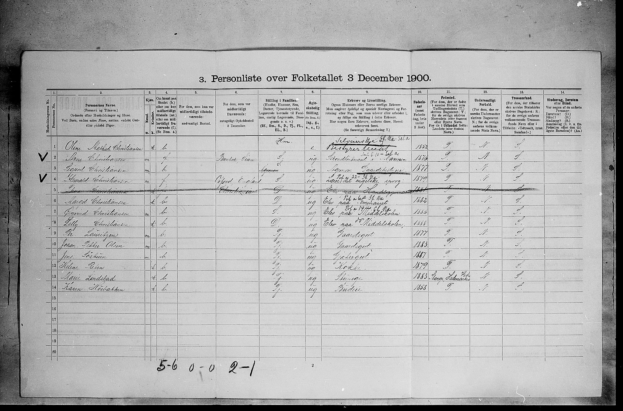 SAH, 1900 census for Elverum, 1900, p. 724