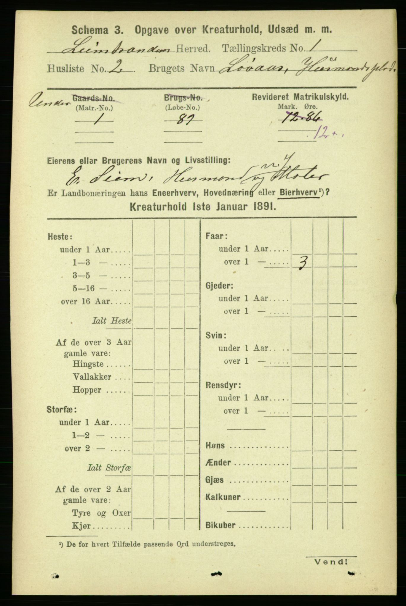 RA, 1891 census for 1654 Leinstrand, 1891, p. 1411