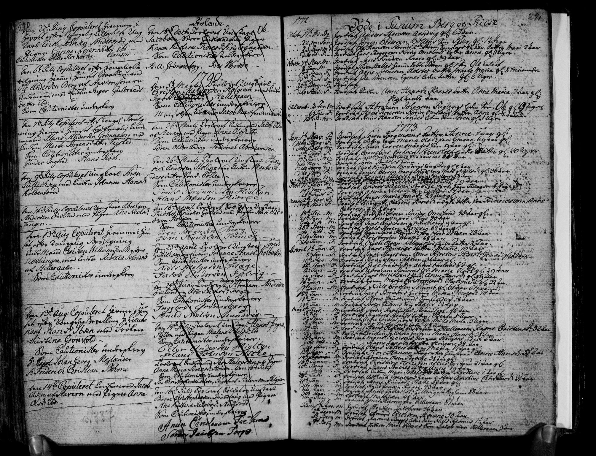 Brunlanes kirkebøker, AV/SAKO-A-342/F/Fa/L0001: Parish register (official) no. I 1, 1766-1801, p. 290-291