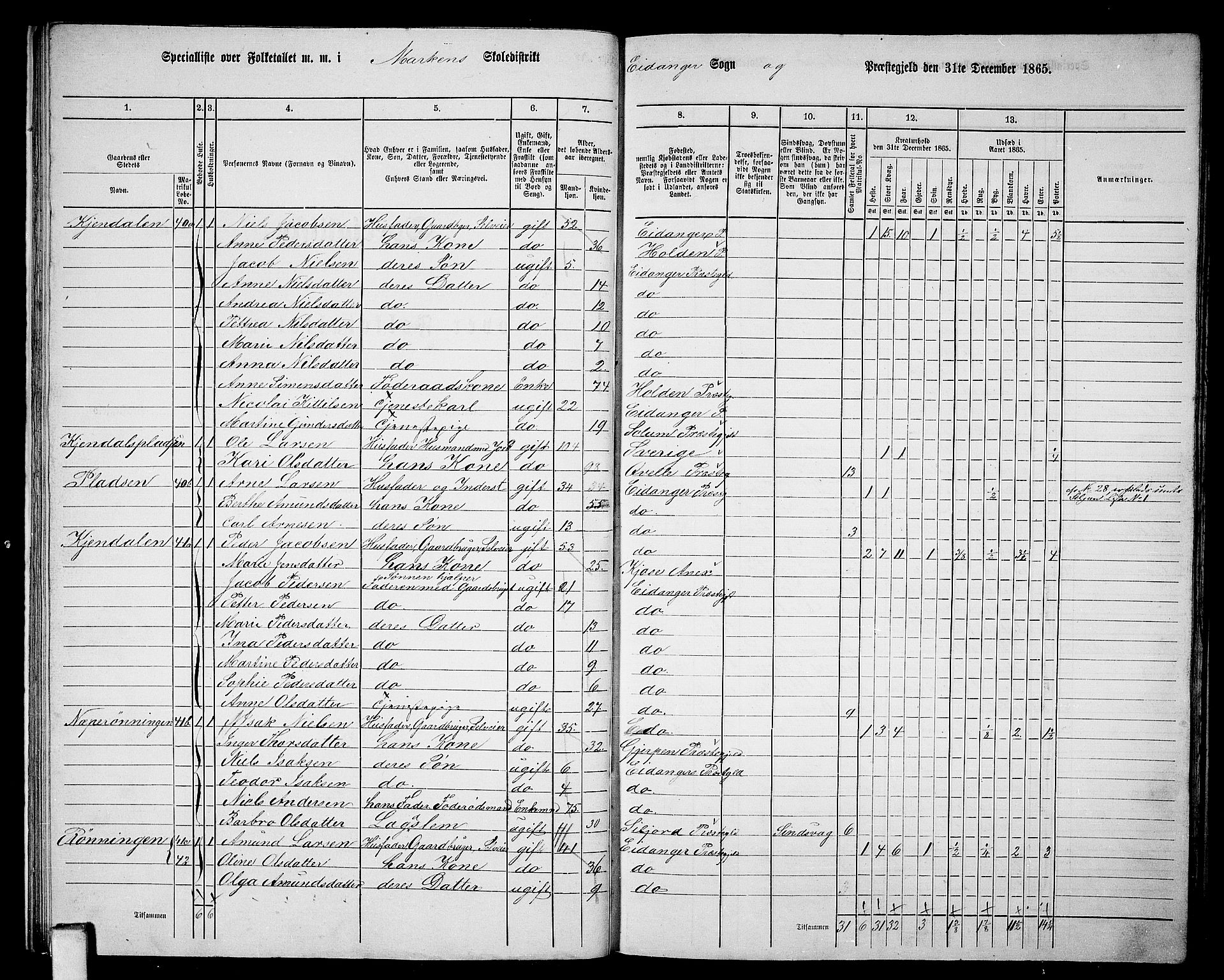 RA, 1865 census for Eidanger, 1865, p. 25