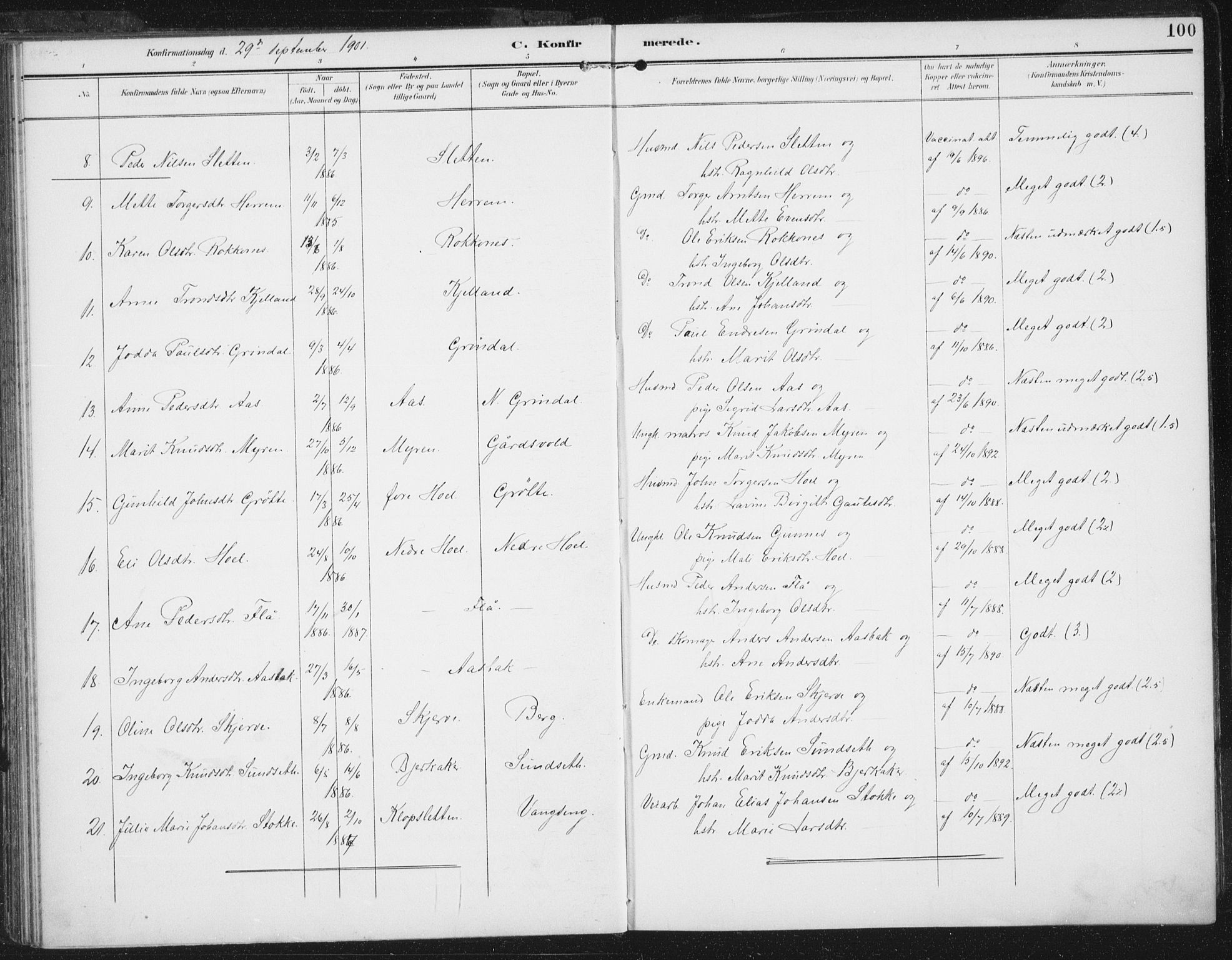 Ministerialprotokoller, klokkerbøker og fødselsregistre - Sør-Trøndelag, SAT/A-1456/674/L0872: Parish register (official) no. 674A04, 1897-1907, p. 100