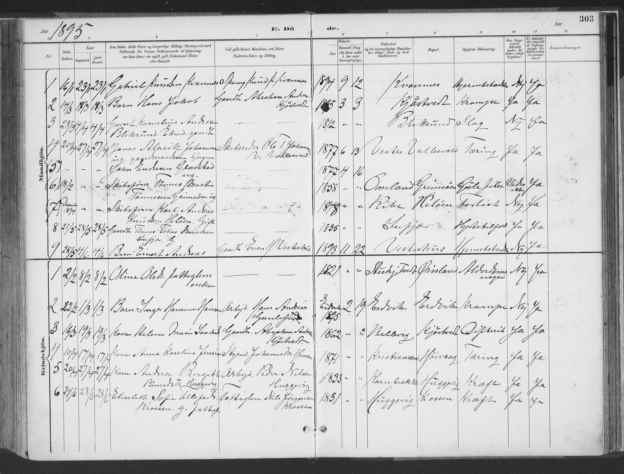 Høvåg sokneprestkontor, AV/SAK-1111-0025/F/Fa/L0006: Parish register (official) no. A 6, 1894-1923, p. 303