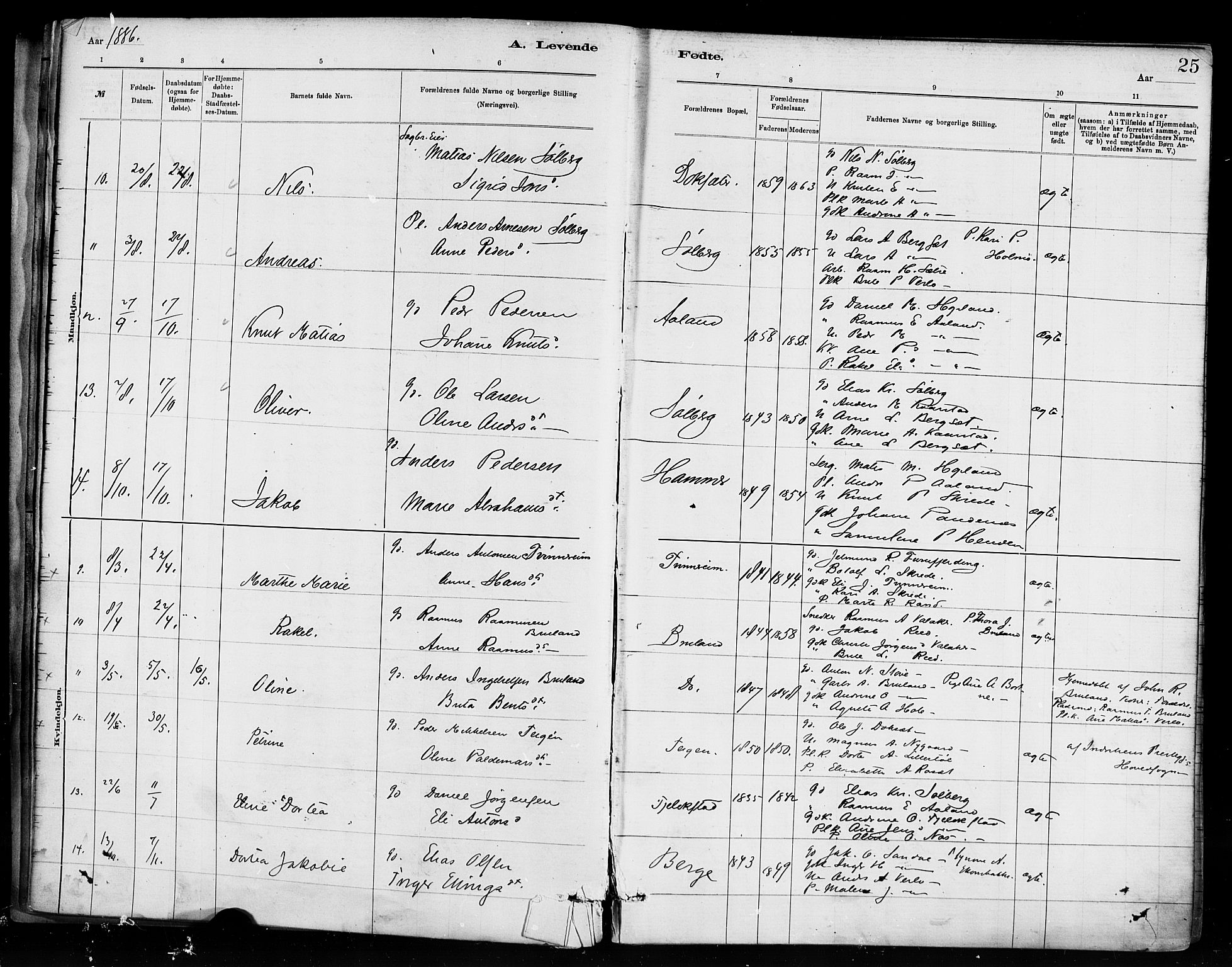 Innvik sokneprestembete, AV/SAB-A-80501: Parish register (official) no. D 1, 1879-1900, p. 25