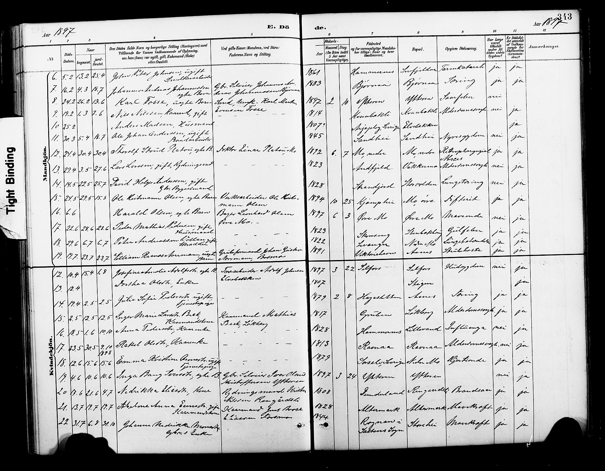 Ministerialprotokoller, klokkerbøker og fødselsregistre - Nordland, AV/SAT-A-1459/827/L0421: Parish register (copy) no. 827C10, 1887-1906, p. 343