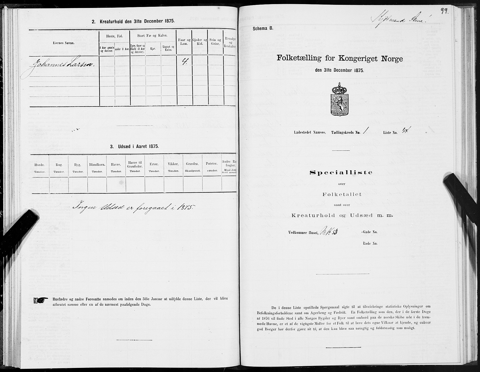 SAT, 1875 census for 1703B Namsos/Namsos, 1875, p. 99