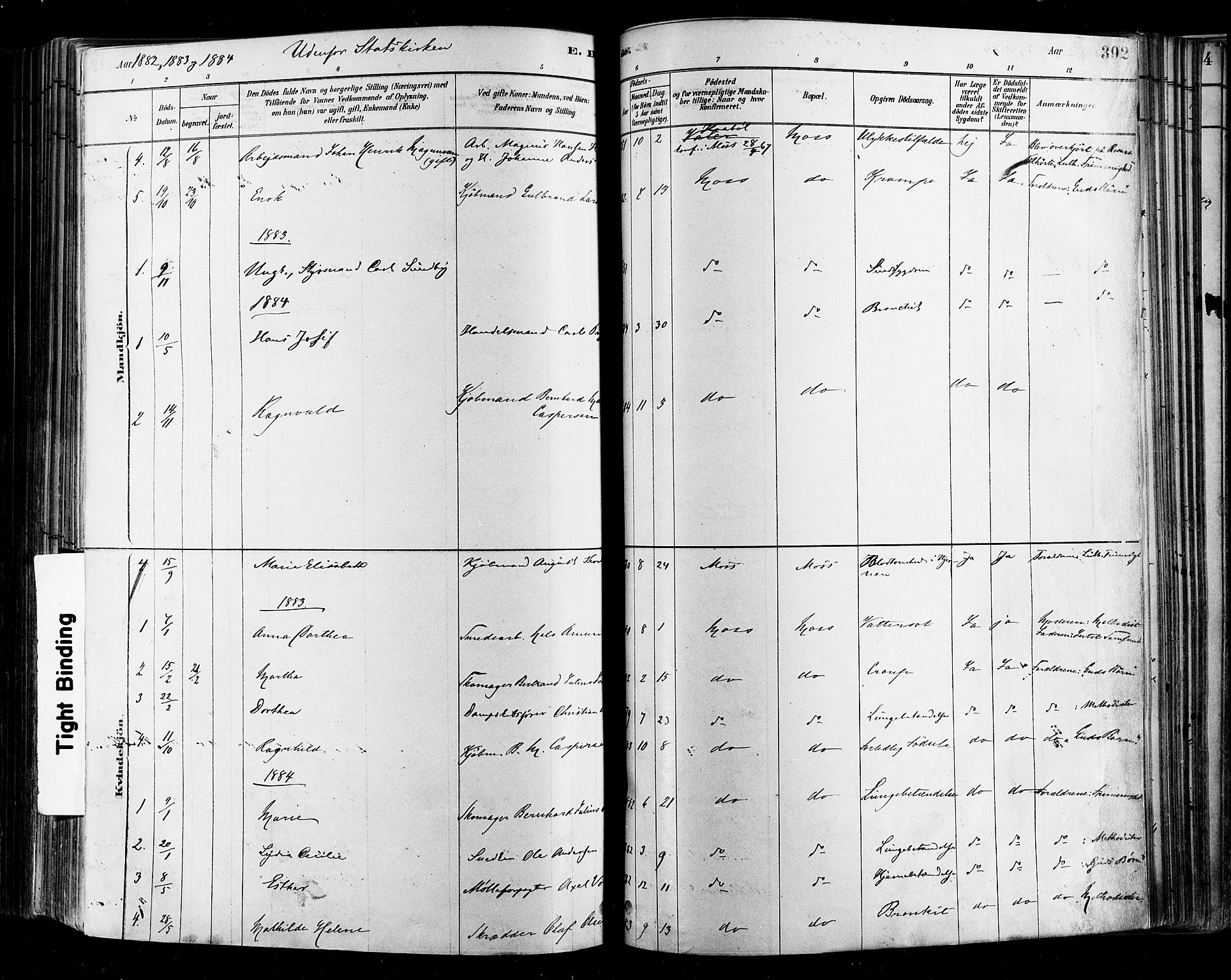 Moss prestekontor Kirkebøker, SAO/A-2003/F/Fb/L0001: Parish register (official) no. II 1, 1878-1886, p. 392