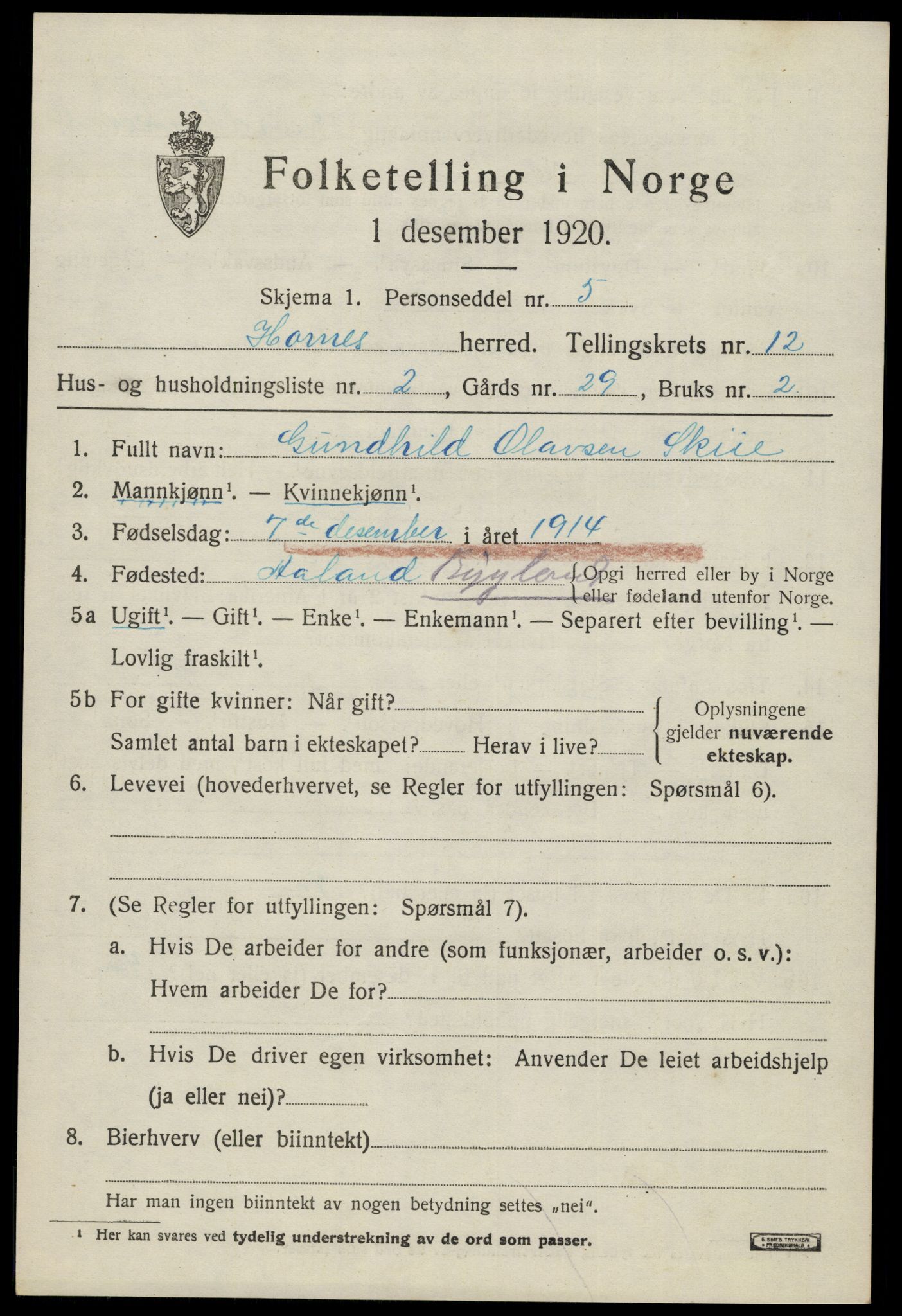 SAK, 1920 census for Hornnes, 1920, p. 2895