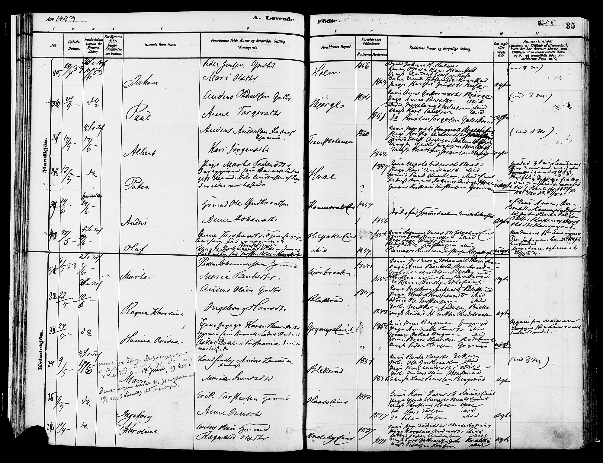 Gran prestekontor, SAH/PREST-112/H/Ha/Haa/L0014: Parish register (official) no. 14, 1880-1889, p. 35