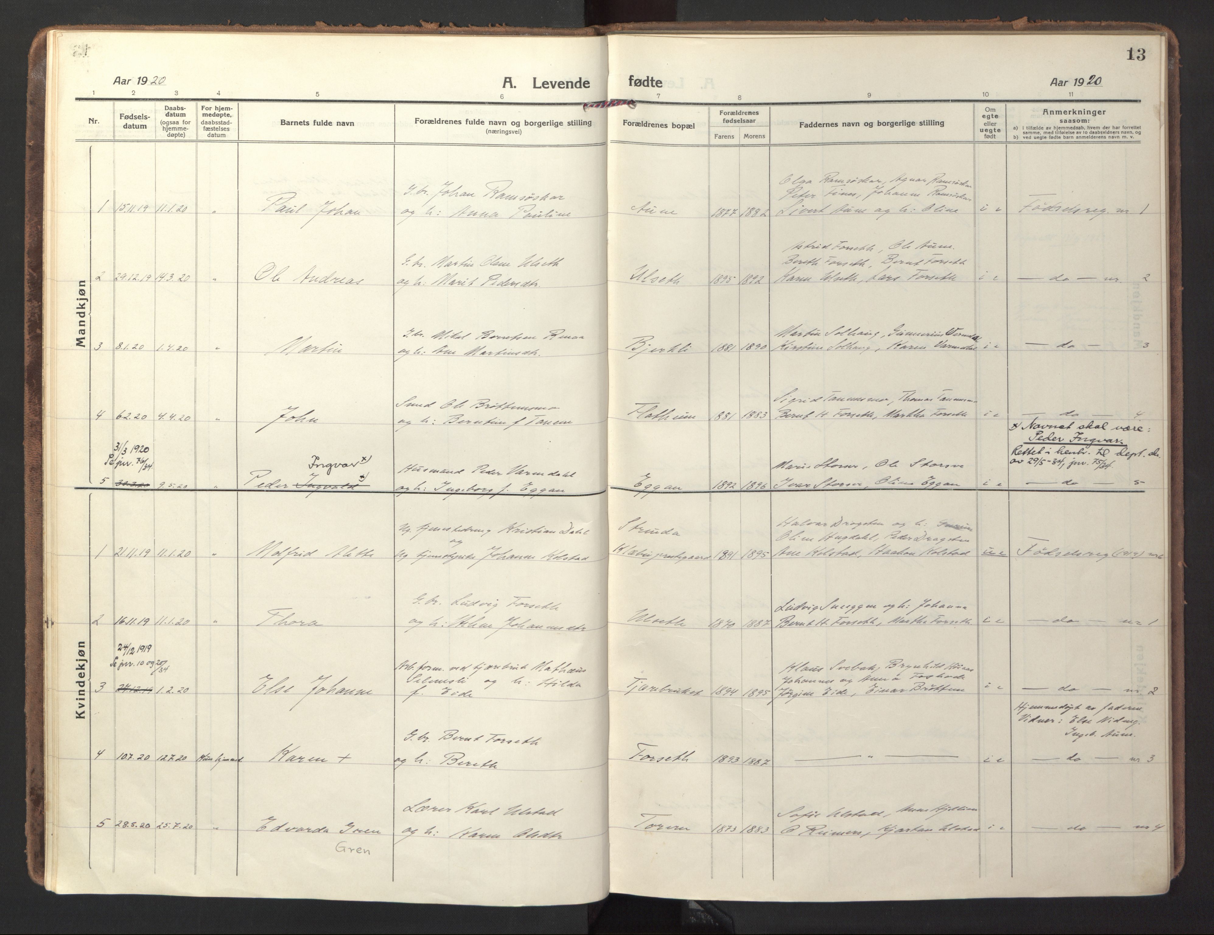 Ministerialprotokoller, klokkerbøker og fødselsregistre - Sør-Trøndelag, SAT/A-1456/618/L0449: Parish register (official) no. 618A12, 1917-1924, p. 13