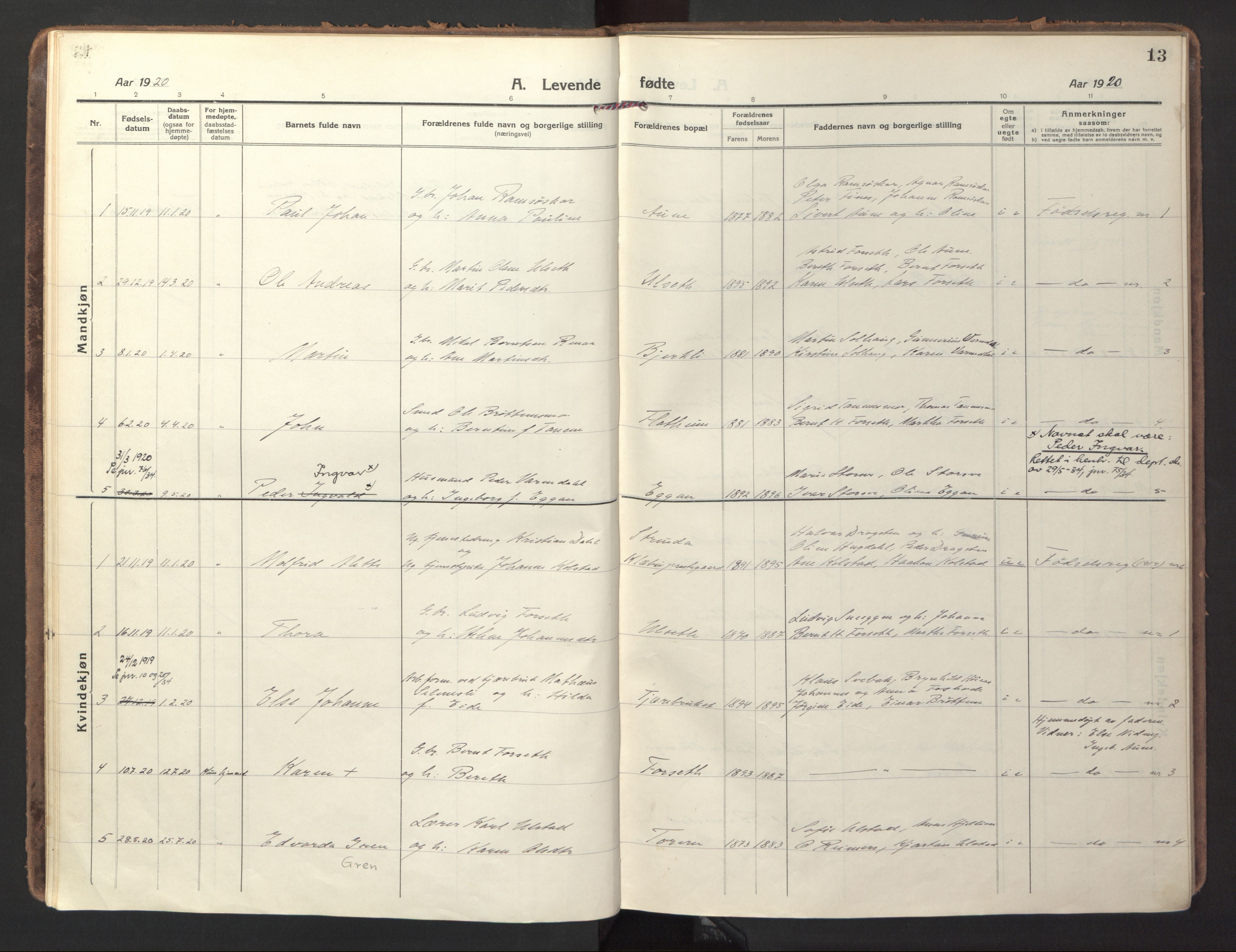 Ministerialprotokoller, klokkerbøker og fødselsregistre - Sør-Trøndelag, AV/SAT-A-1456/618/L0449: Parish register (official) no. 618A12, 1917-1924, p. 13