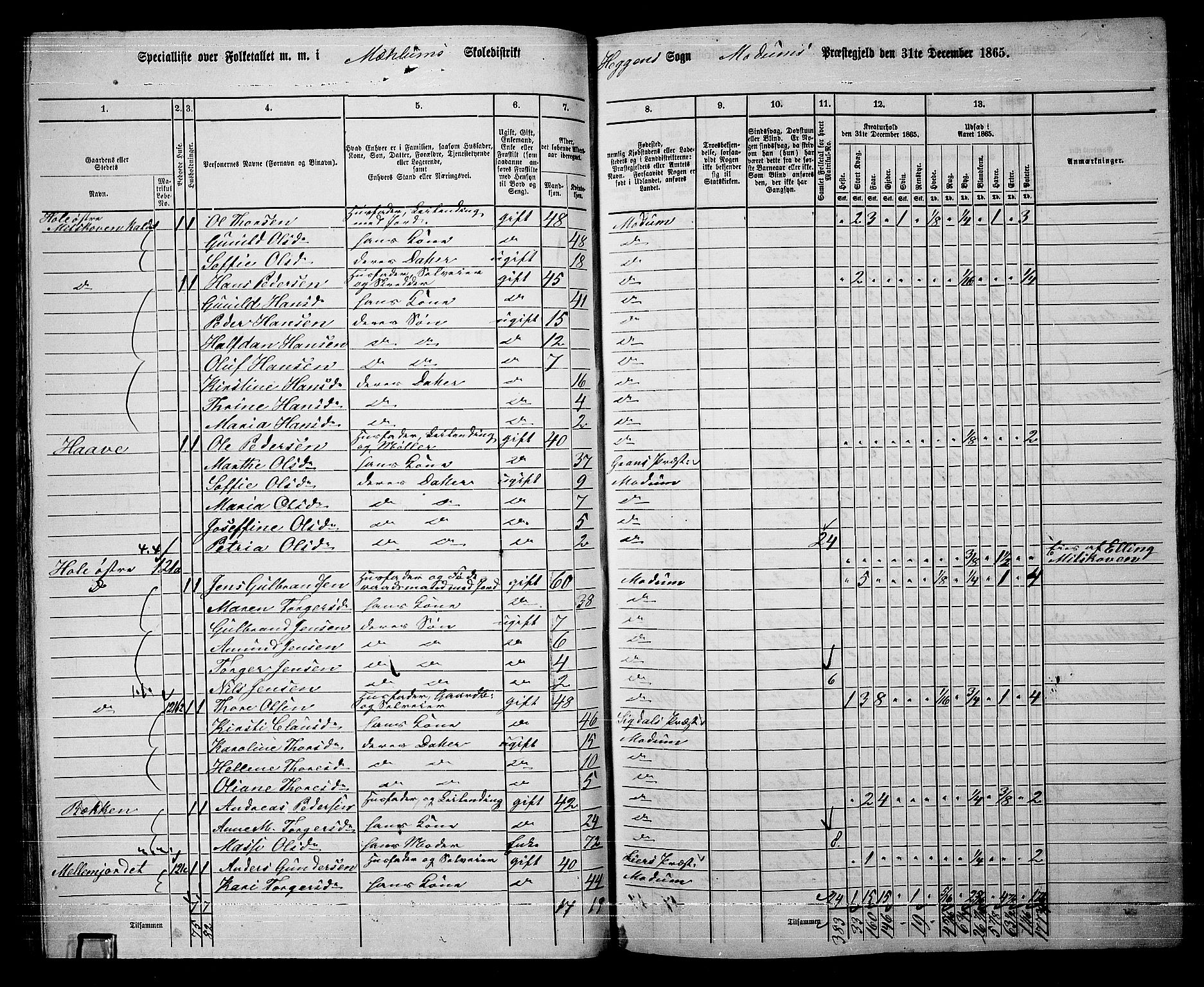 RA, 1865 census for Modum, 1865, p. 80