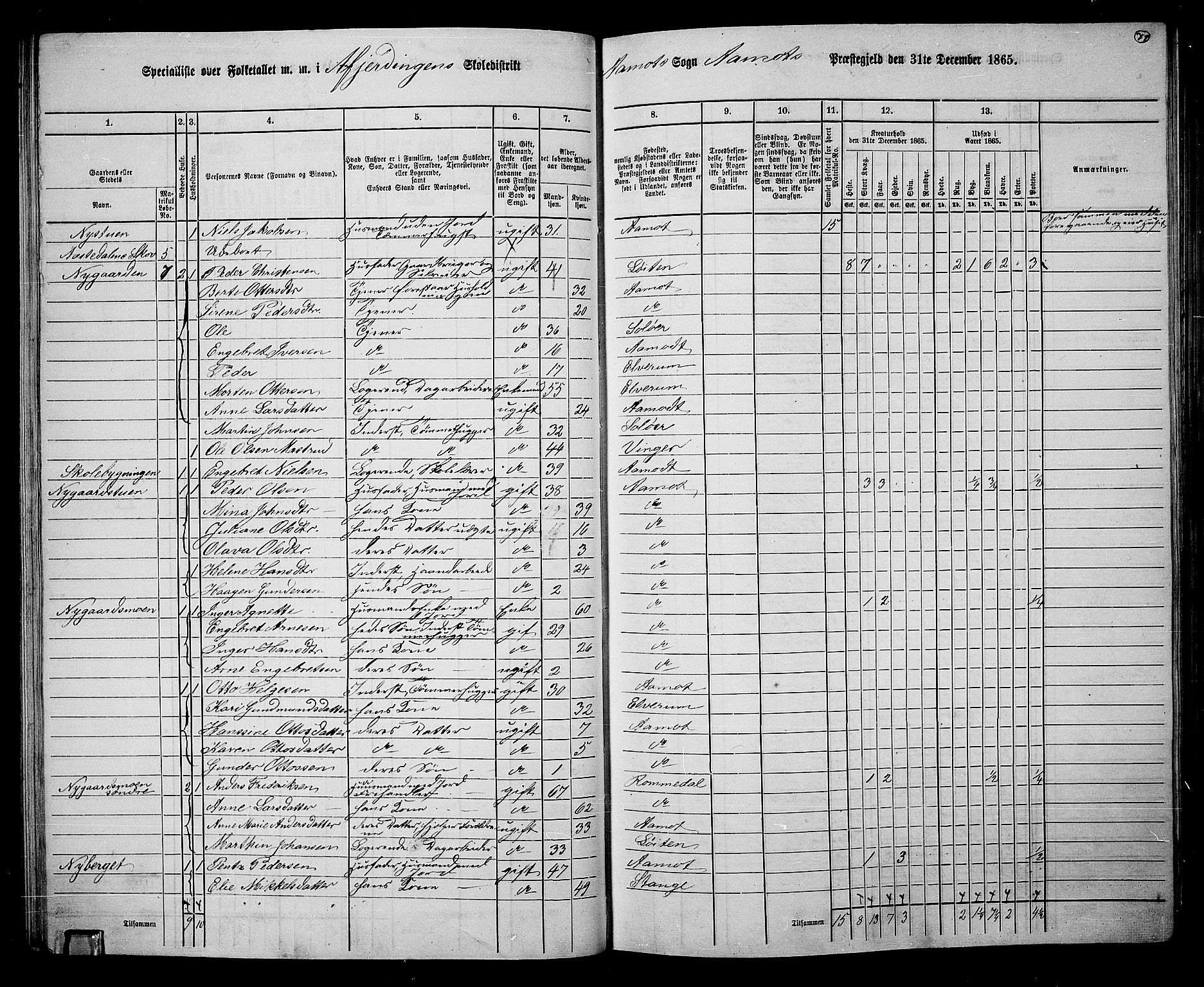 RA, 1865 census for Åmot, 1865, p. 66