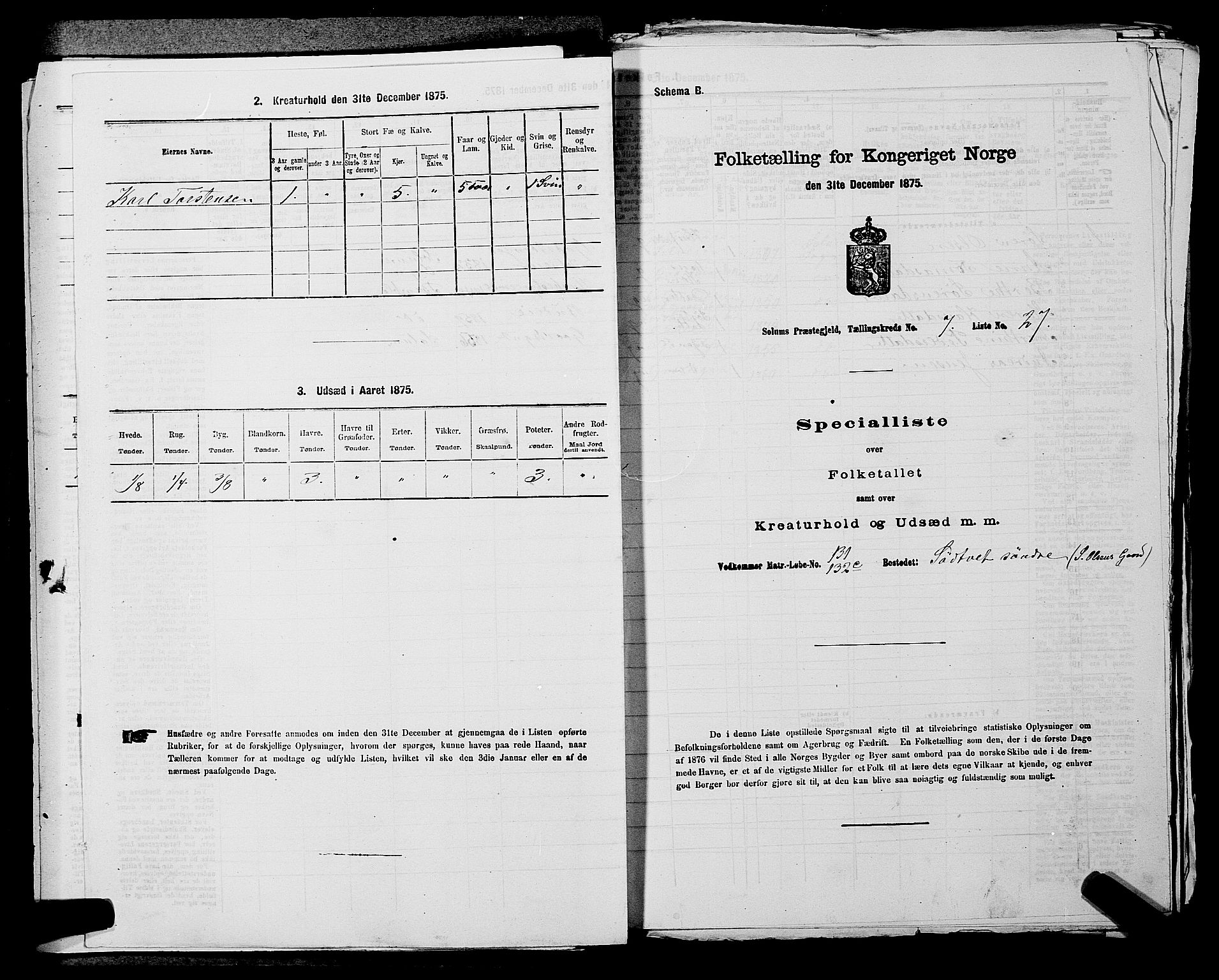 SAKO, 1875 census for 0818P Solum, 1875, p. 1267