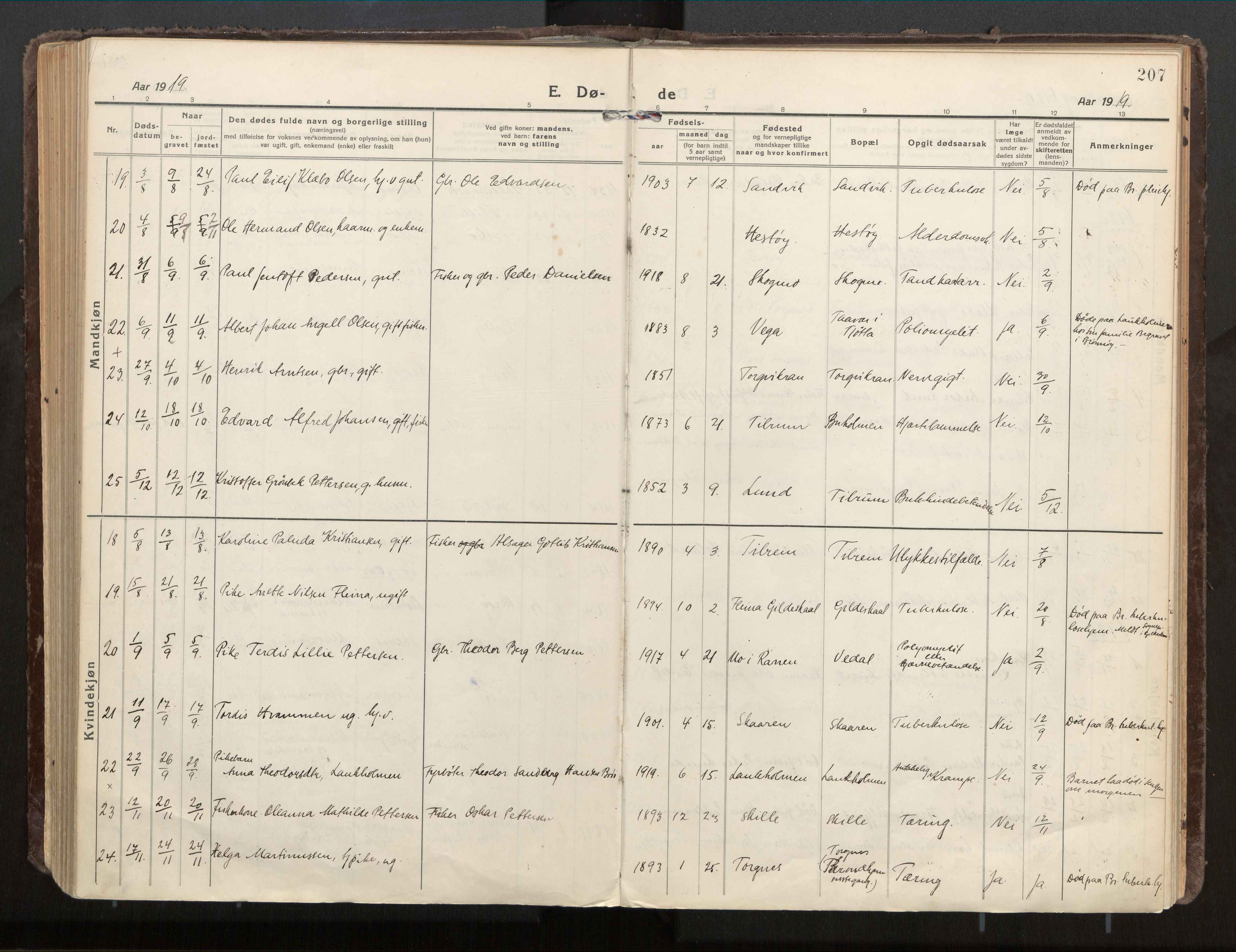 Ministerialprotokoller, klokkerbøker og fødselsregistre - Nordland, SAT/A-1459/813/L0207a: Parish register (official) no. 813A18, 1919-1927, p. 207