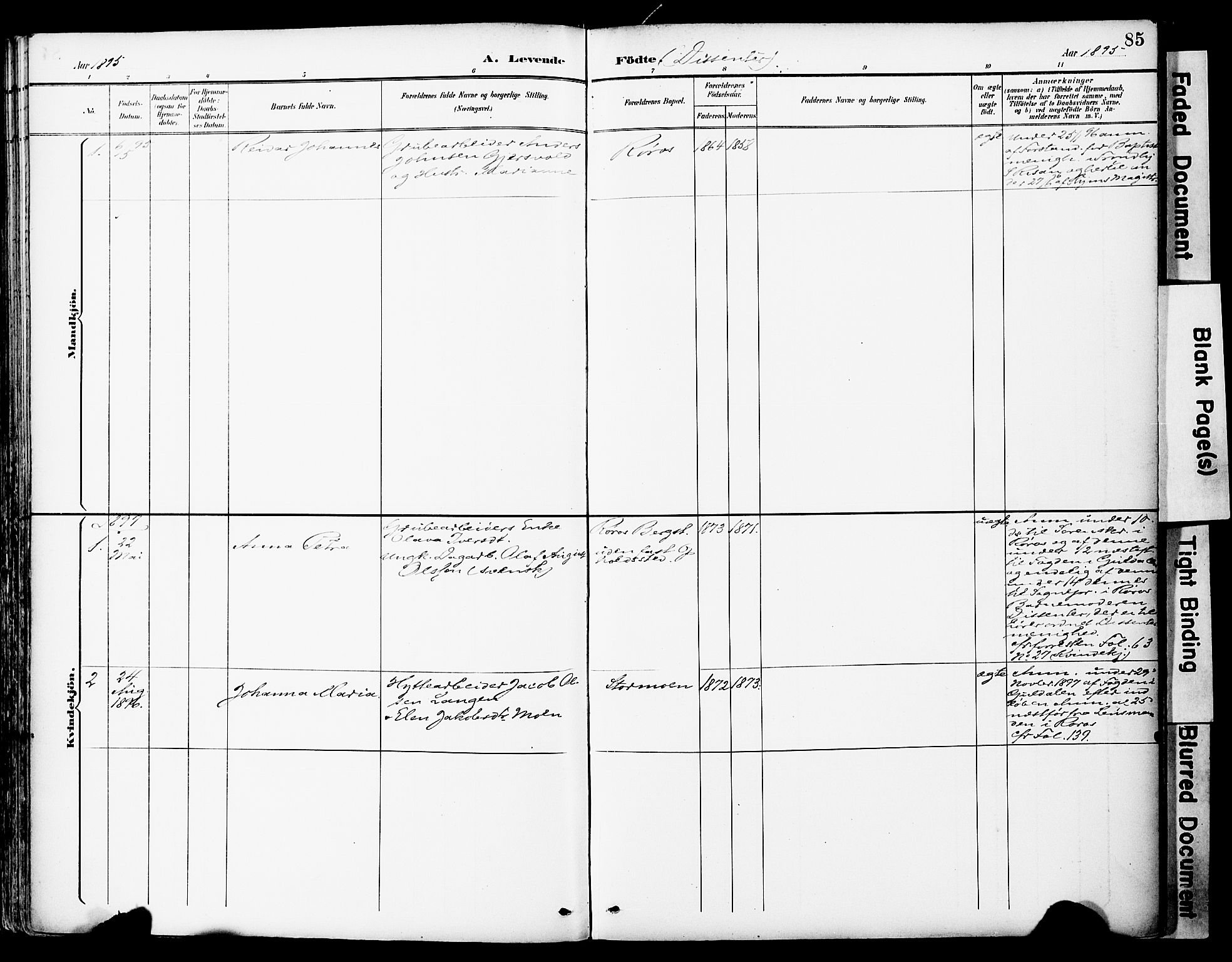 Ministerialprotokoller, klokkerbøker og fødselsregistre - Sør-Trøndelag, SAT/A-1456/681/L0935: Parish register (official) no. 681A13, 1890-1898, p. 85