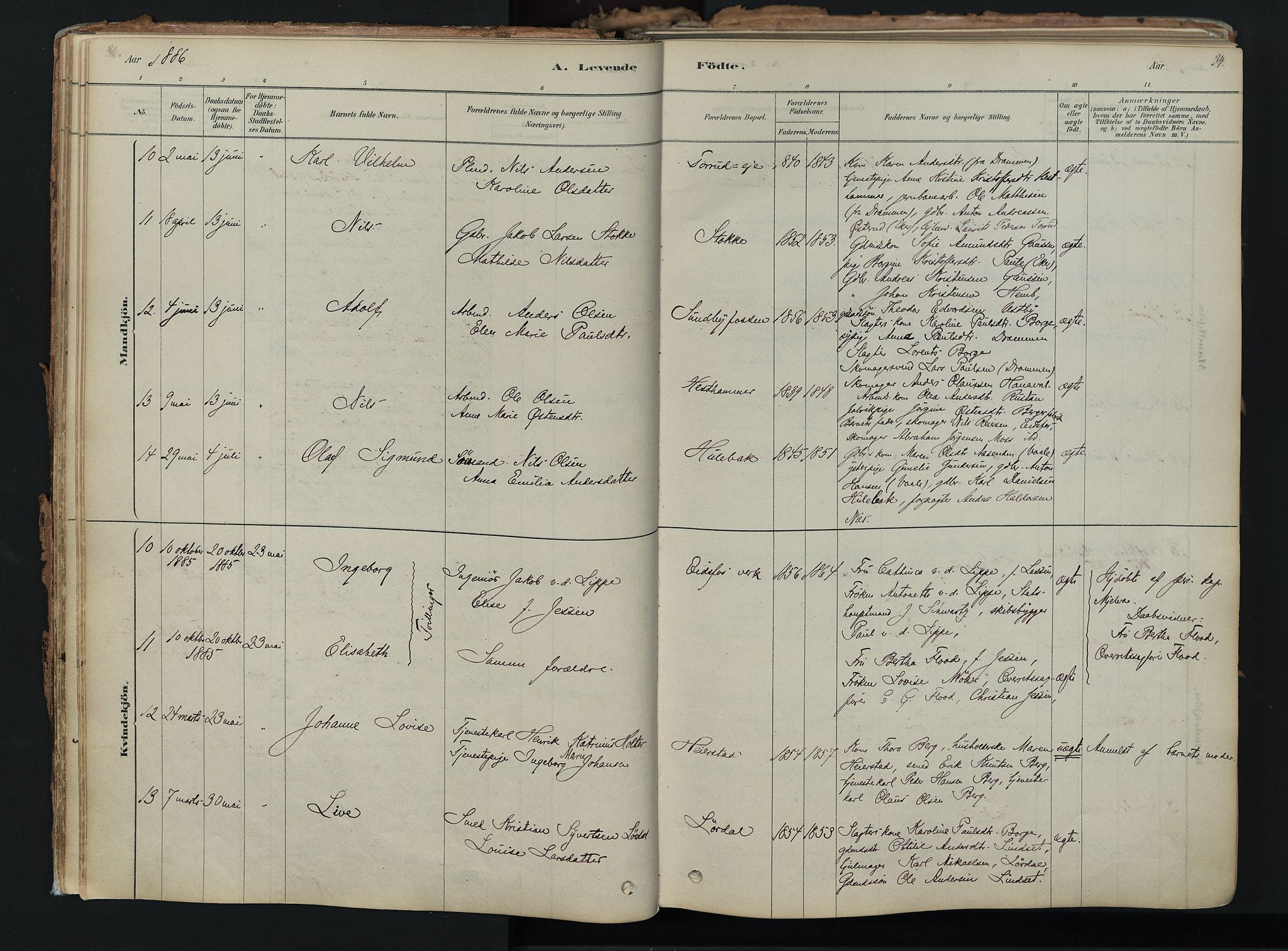 Hof kirkebøker, SAKO/A-64/F/Fa/L0007: Parish register (official) no. I 7, 1878-1940, p. 34