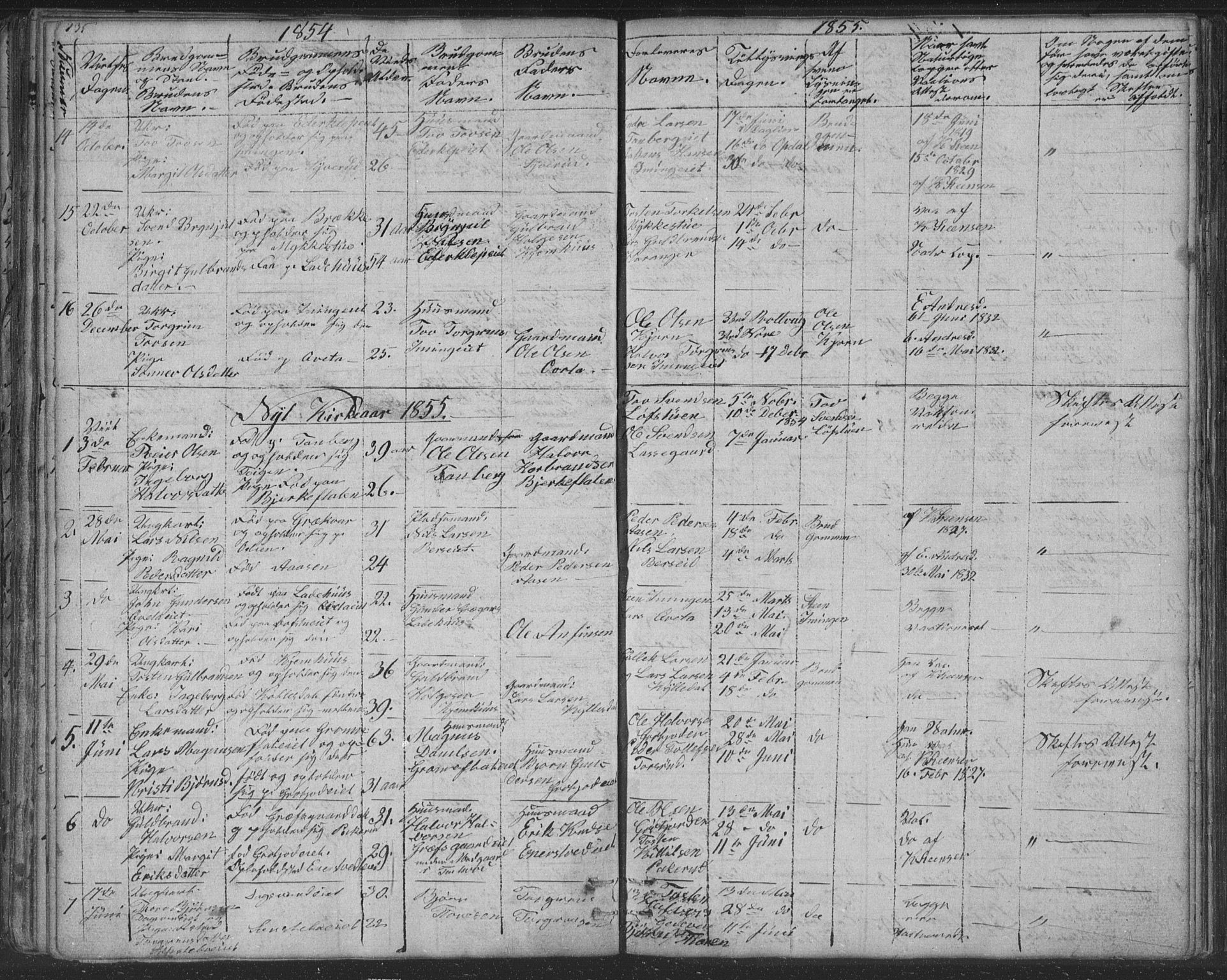 Nore kirkebøker, SAKO/A-238/F/Fc/L0002: Parish register (official) no. III 2, 1836-1861, p. 135