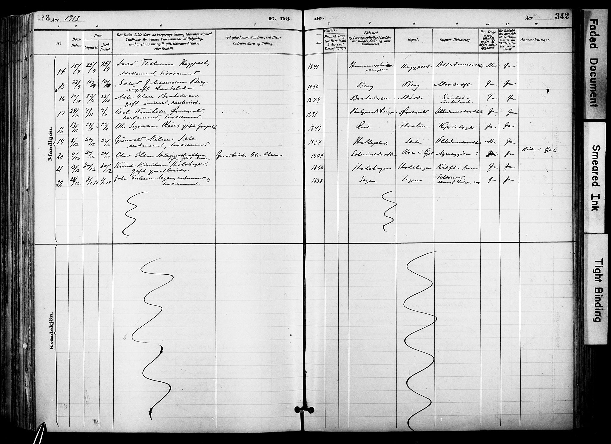 Hol kirkebøker, SAKO/A-227/F/Fa/L0003: Parish register (official) no. I 3, 1887-1918, p. 342