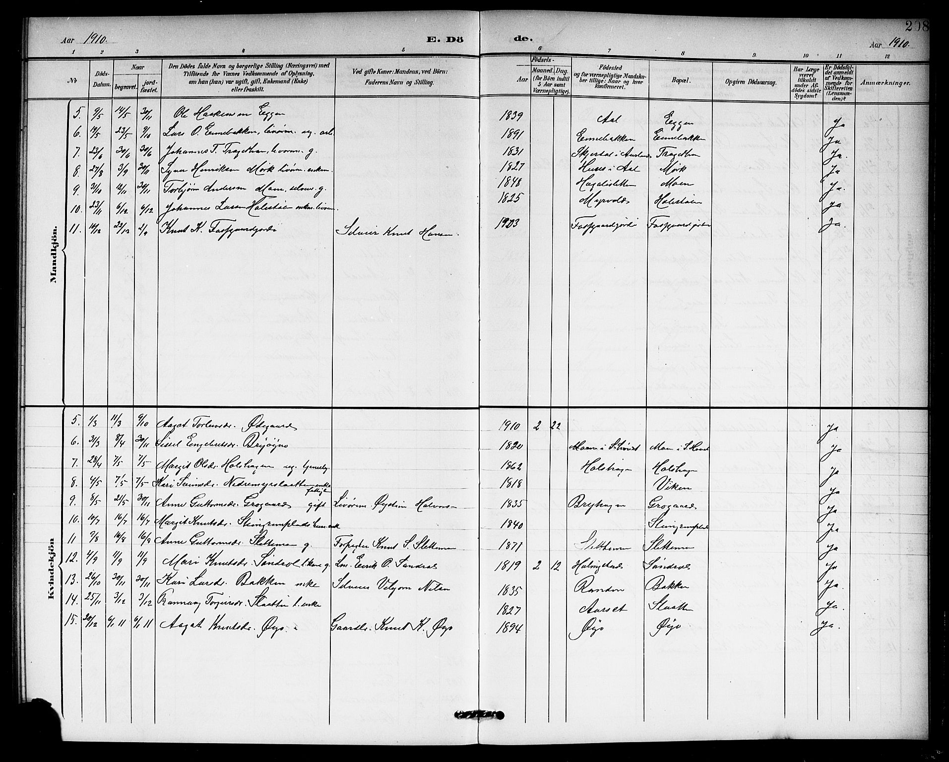 Hol kirkebøker, SAKO/A-227/G/Ga/L0001: Parish register (copy) no. I 1, 1900-1919, p. 208