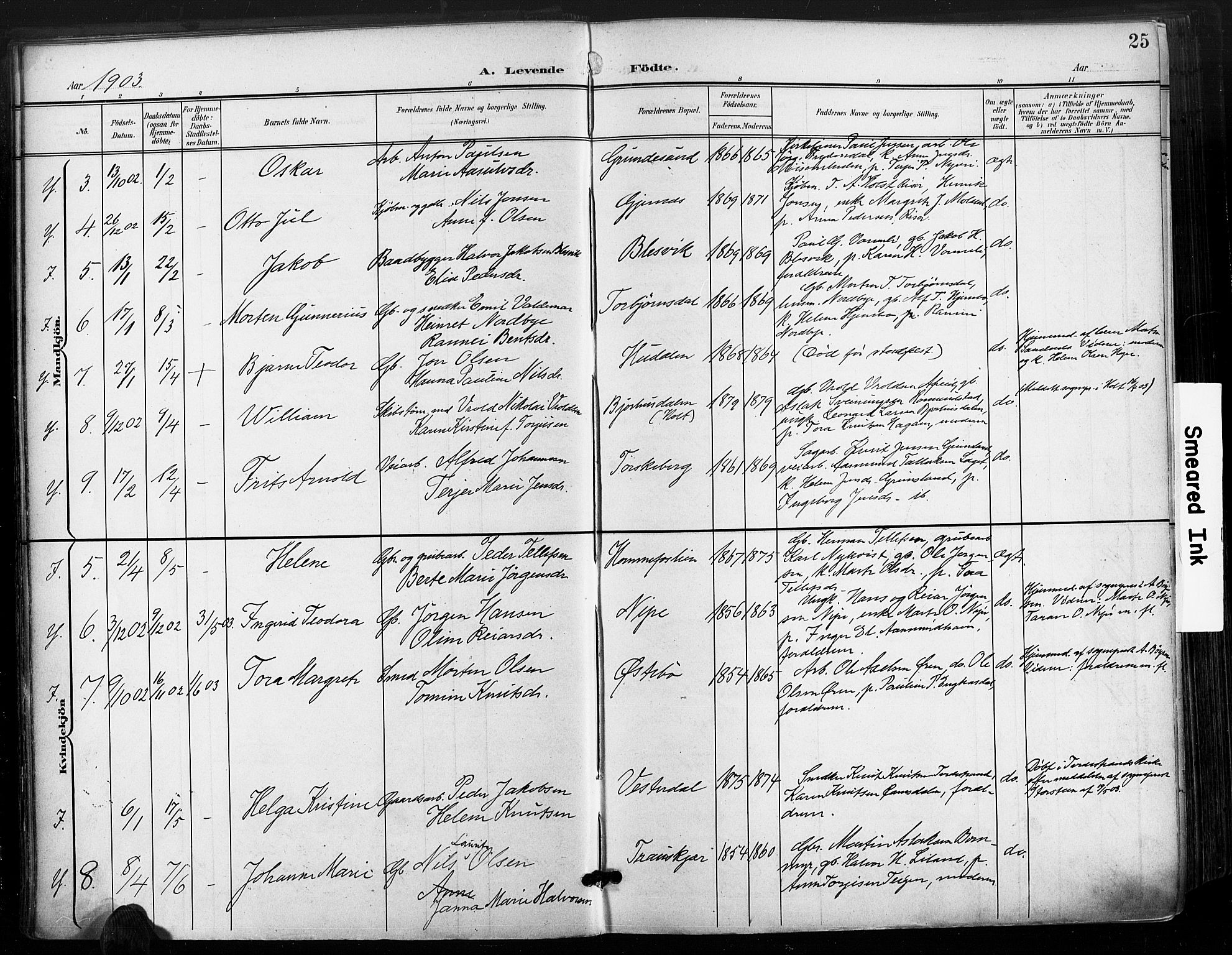 Søndeled sokneprestkontor, AV/SAK-1111-0038/F/Fa/L0006: Parish register (official) no. A 6, 1900-1922, p. 25