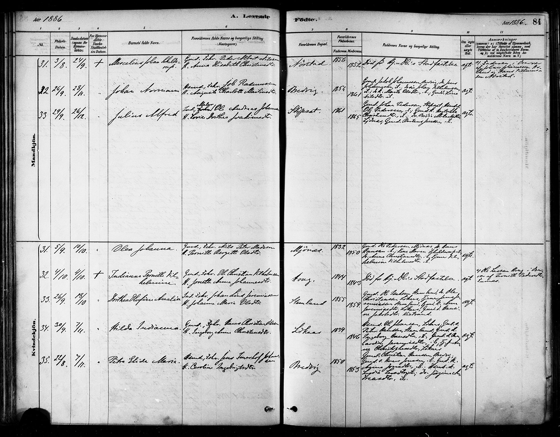 Ministerialprotokoller, klokkerbøker og fødselsregistre - Nordland, SAT/A-1459/852/L0740: Parish register (official) no. 852A10, 1878-1894, p. 84