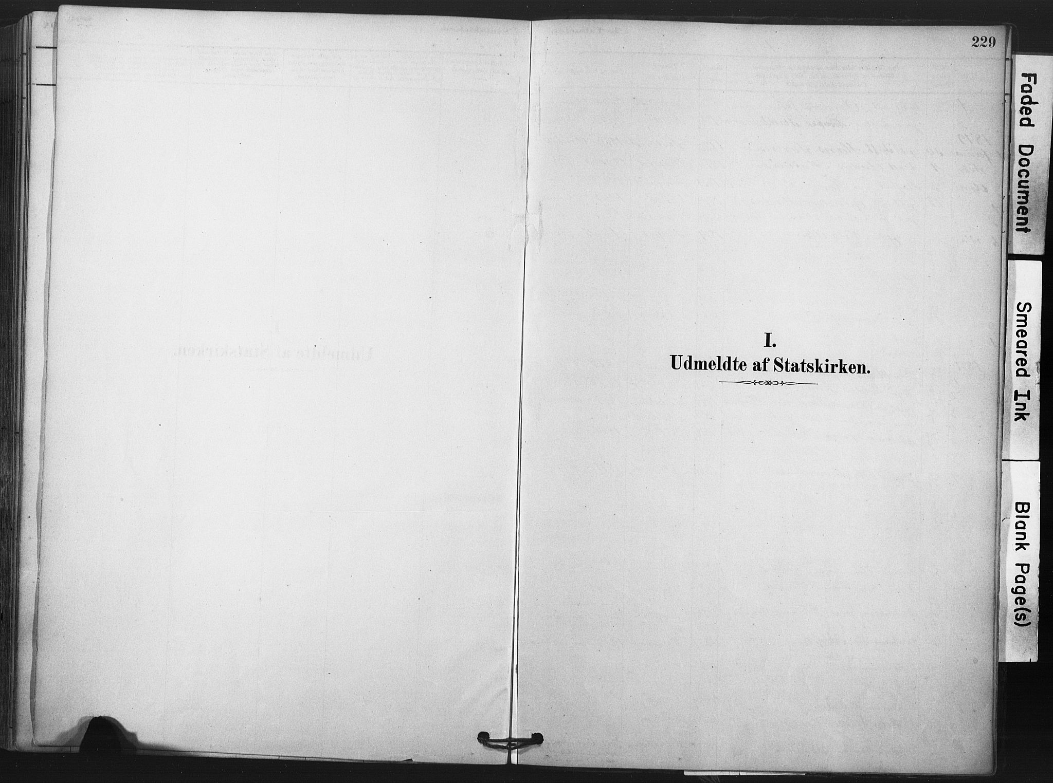 Andebu kirkebøker, SAKO/A-336/F/Fa/L0009: Parish register (official) no. 9, 1878-1909, p. 229