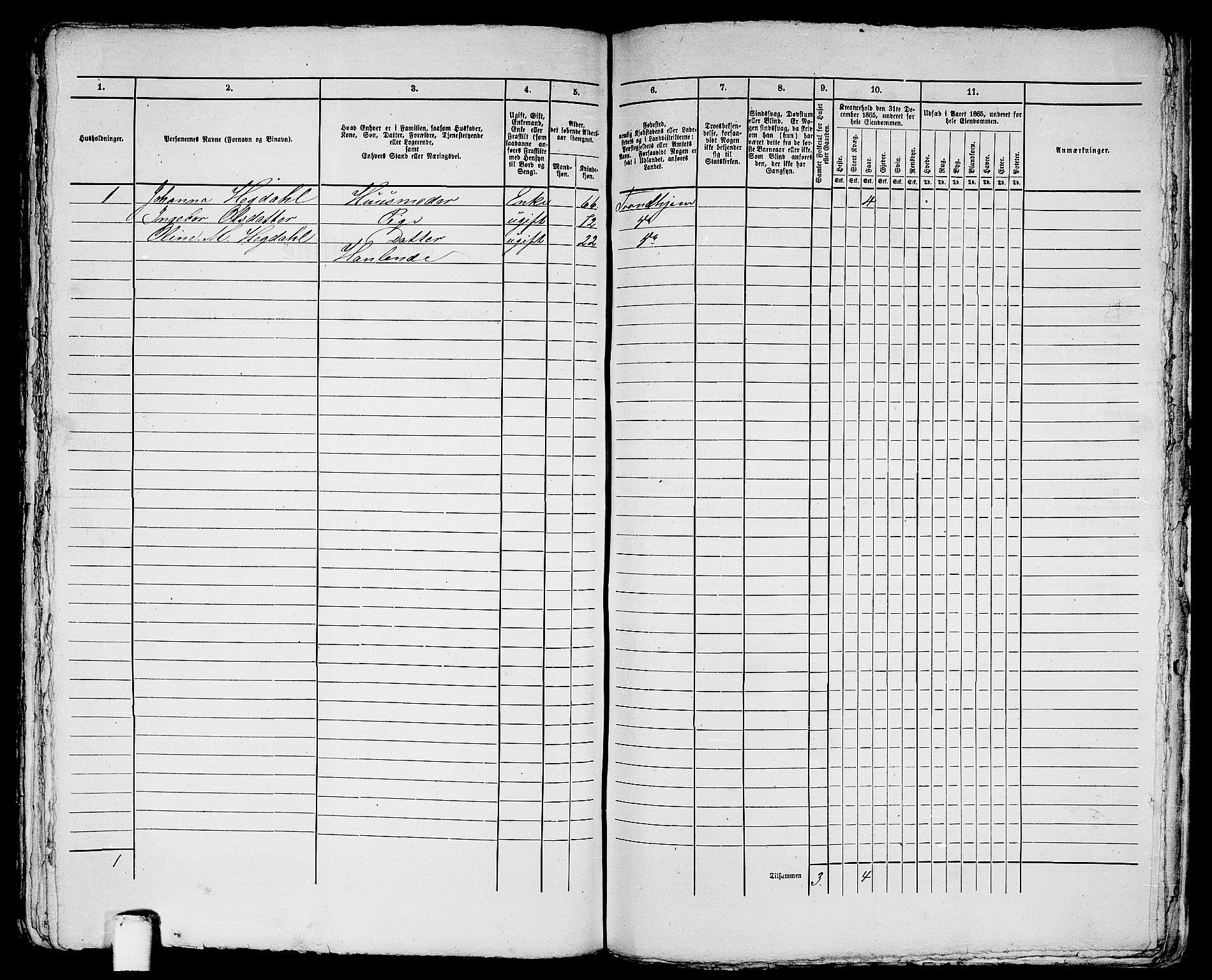 RA, 1865 census for Trondheim, 1865, p. 1968