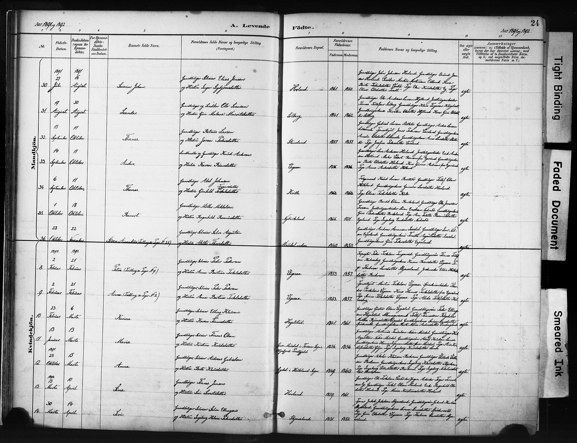 Helleland sokneprestkontor, SAST/A-101810: Parish register (official) no. A 9, 1887-1908, p. 24