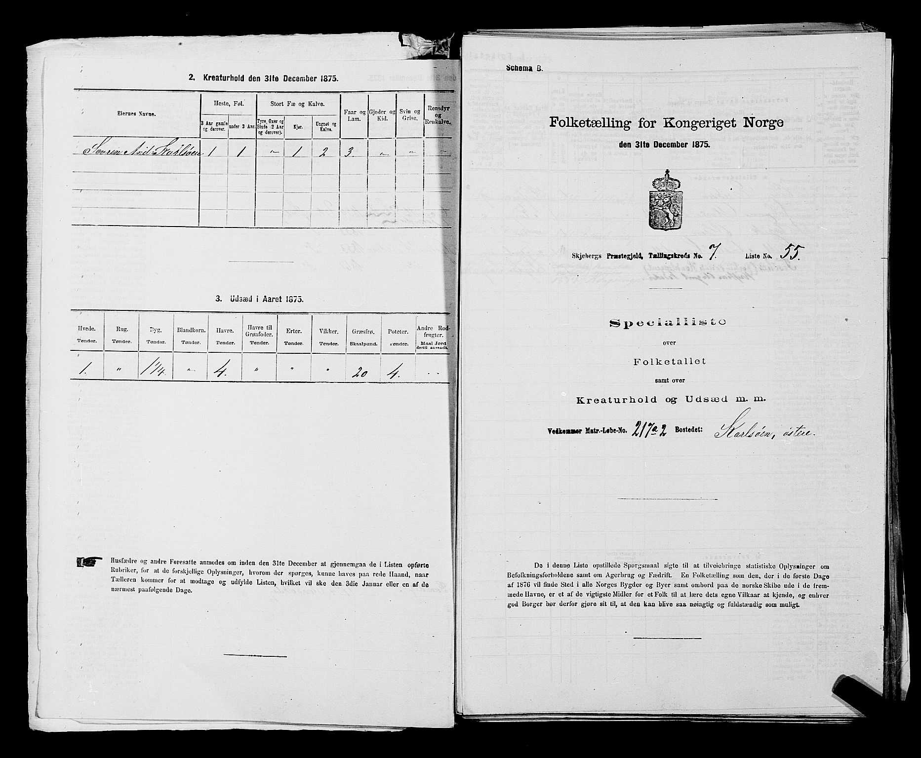 RA, 1875 census for 0115P Skjeberg, 1875, p. 1172