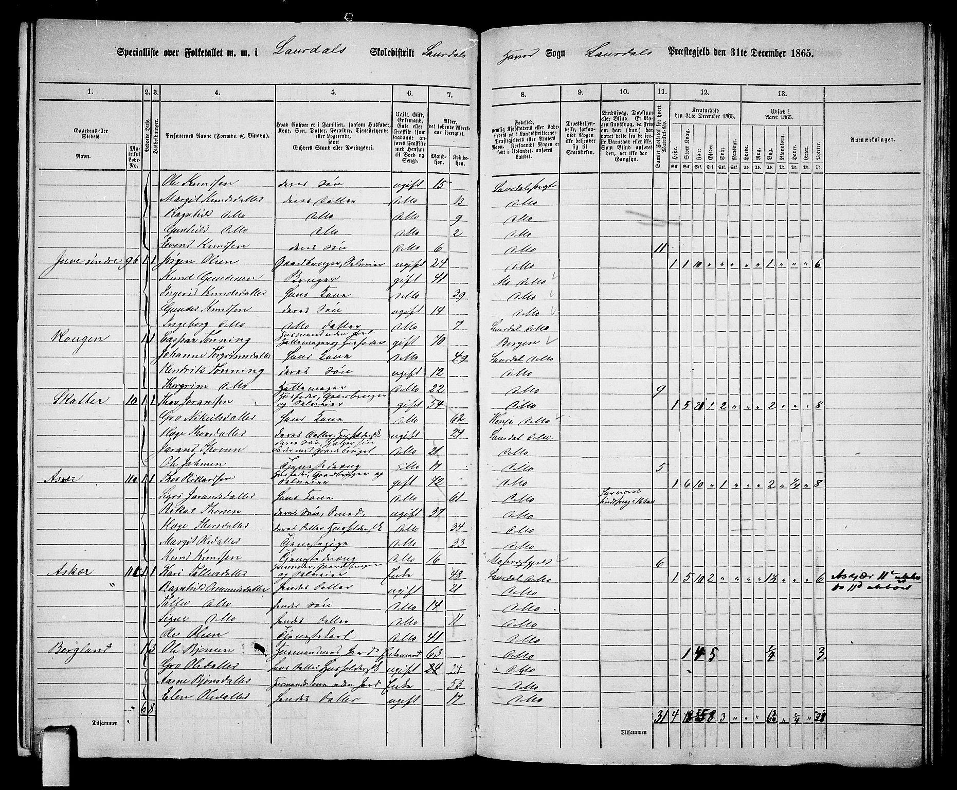 RA, 1865 census for Lårdal, 1865, p. 12