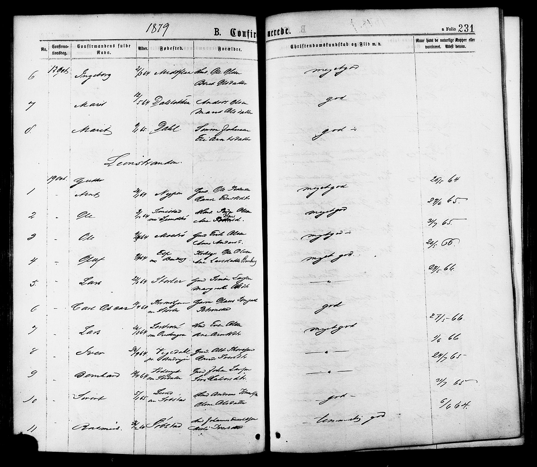 Ministerialprotokoller, klokkerbøker og fødselsregistre - Sør-Trøndelag, AV/SAT-A-1456/691/L1079: Parish register (official) no. 691A11, 1873-1886, p. 231